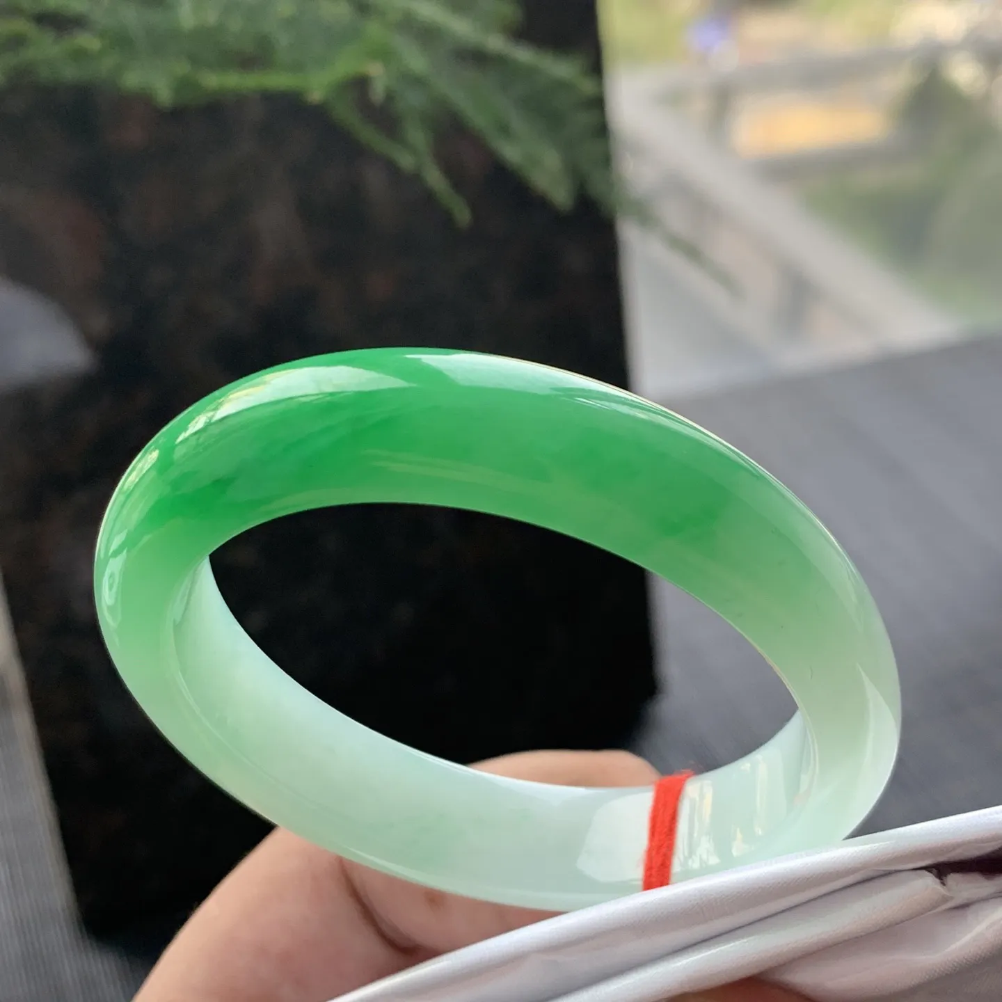 贵妃一大节阳绿 无瑕 尺寸:53.1/44.8/12.2/7.8  色阳