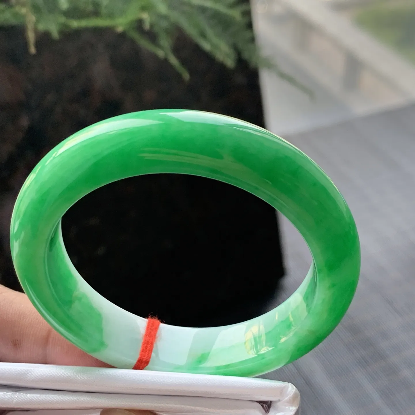 正圈一大圈阳绿 有条水印线 尺寸:50.4/11.8/8.3 色阳