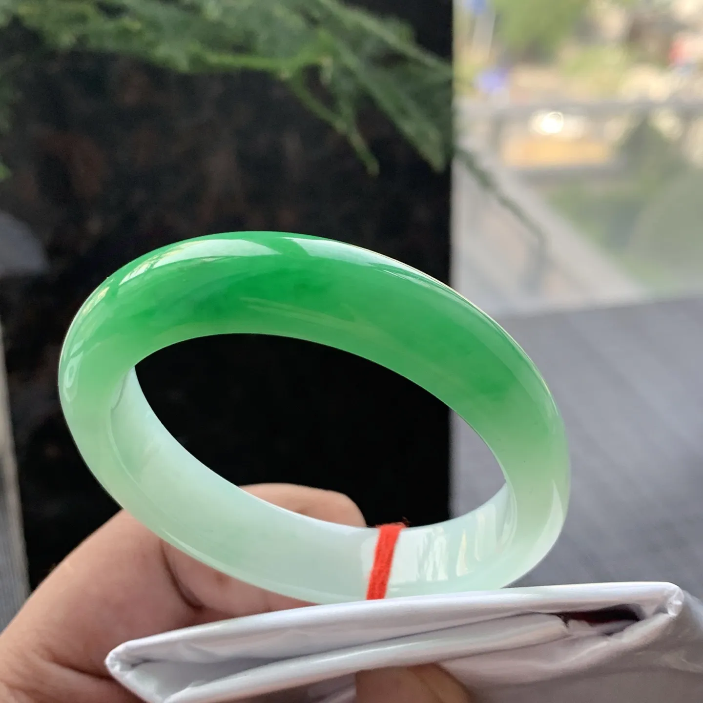 贵妃一大节阳绿 无瑕 尺寸:53.1/44.8/12.2/7.8  色阳