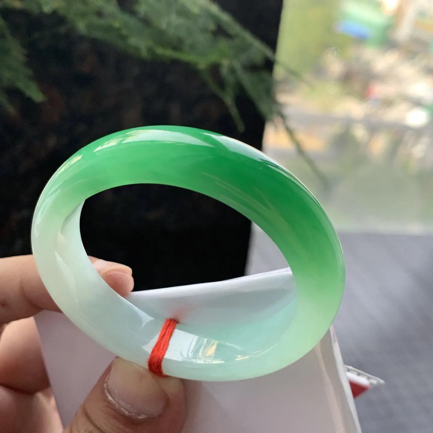 贵妃一大节阳绿 无瑕 尺寸:53.1/44.8/12.2/7.8  色阳