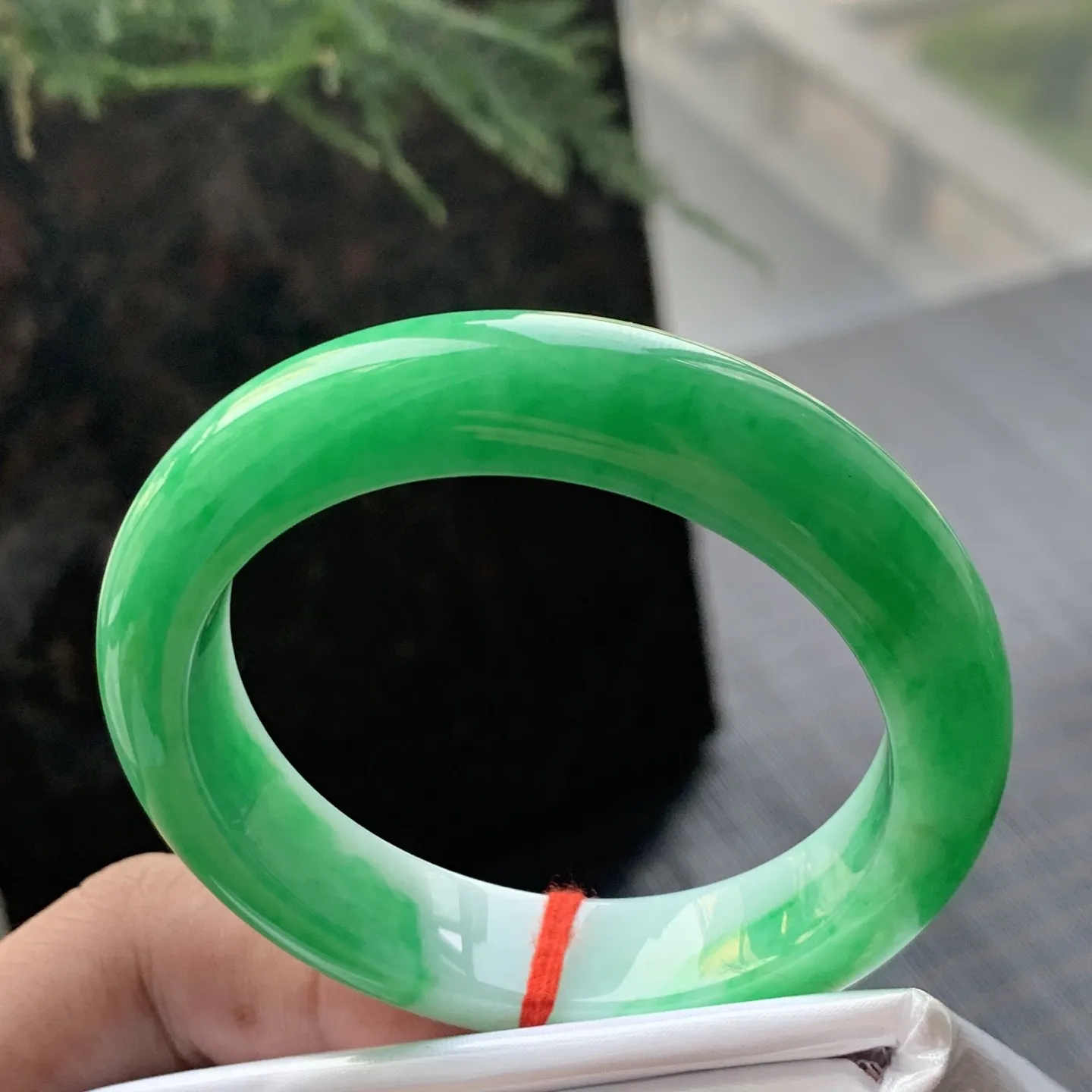 正圈一大圈阳绿 有条水印线 尺寸:50.4/11.8/8.3 色阳