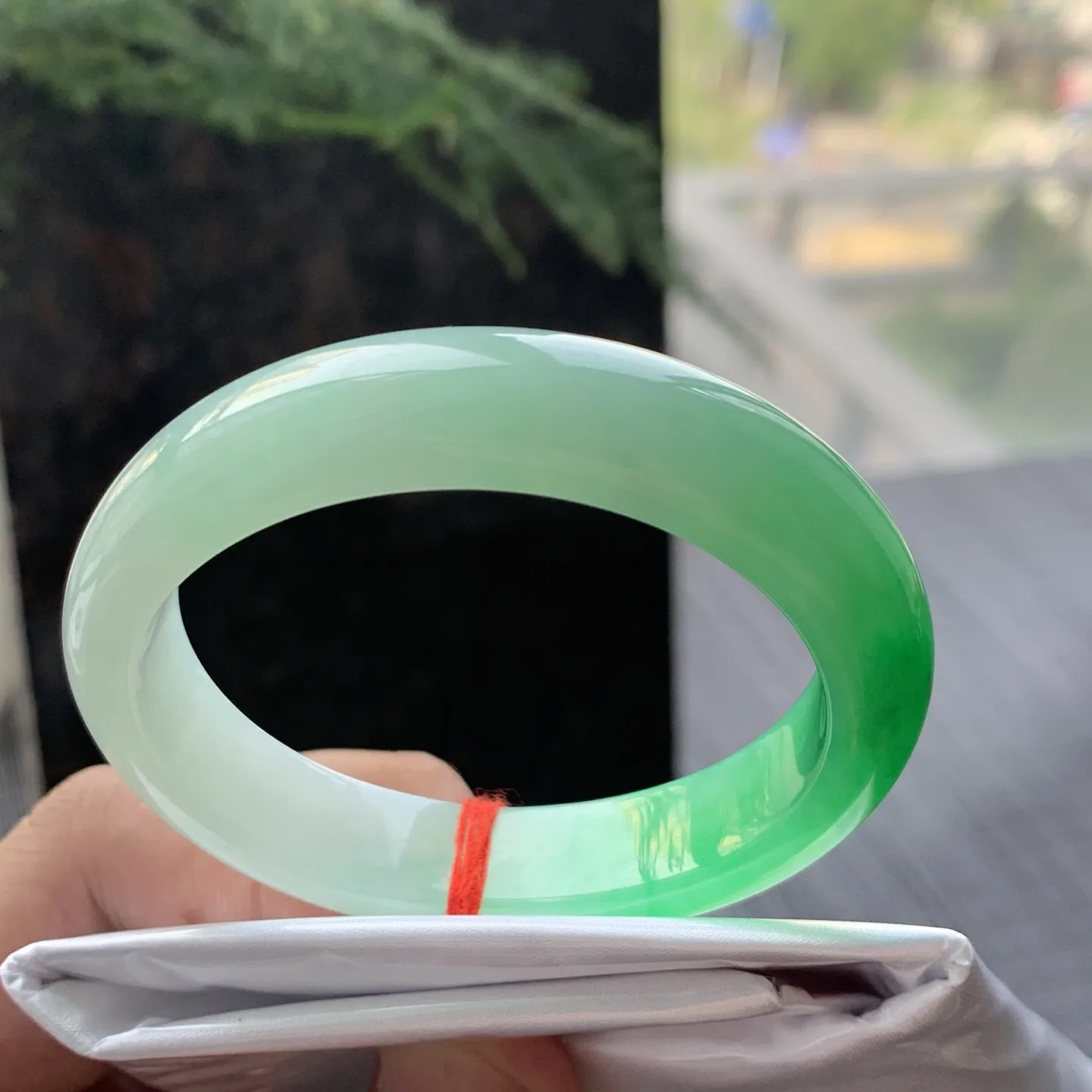 贵妃一大节阳绿 无瑕 尺寸:53.1/44.8/12.2/7.8  色阳