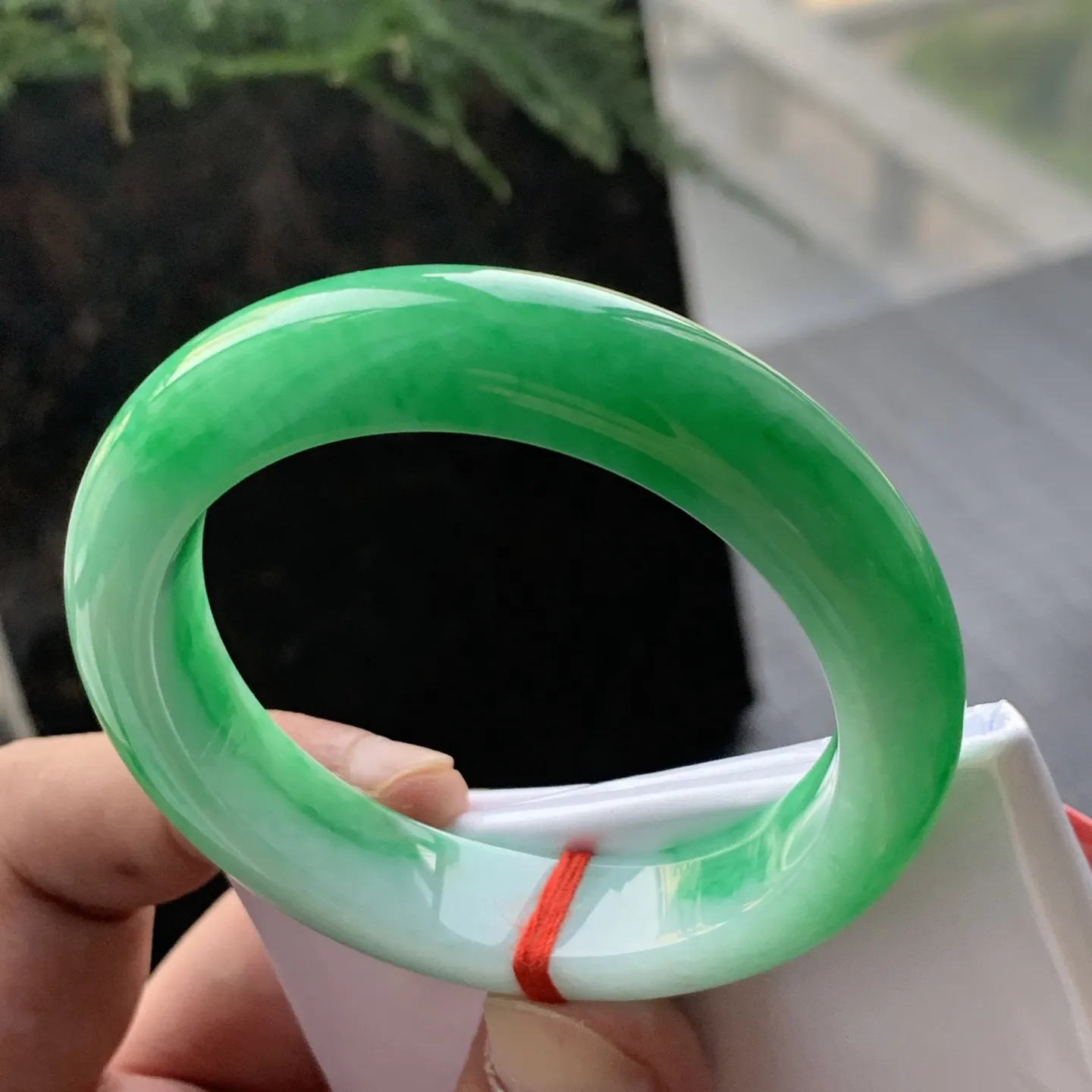 正圈一大圈阳绿 有条水印线 尺寸:50.4/11.8/8.3 色阳