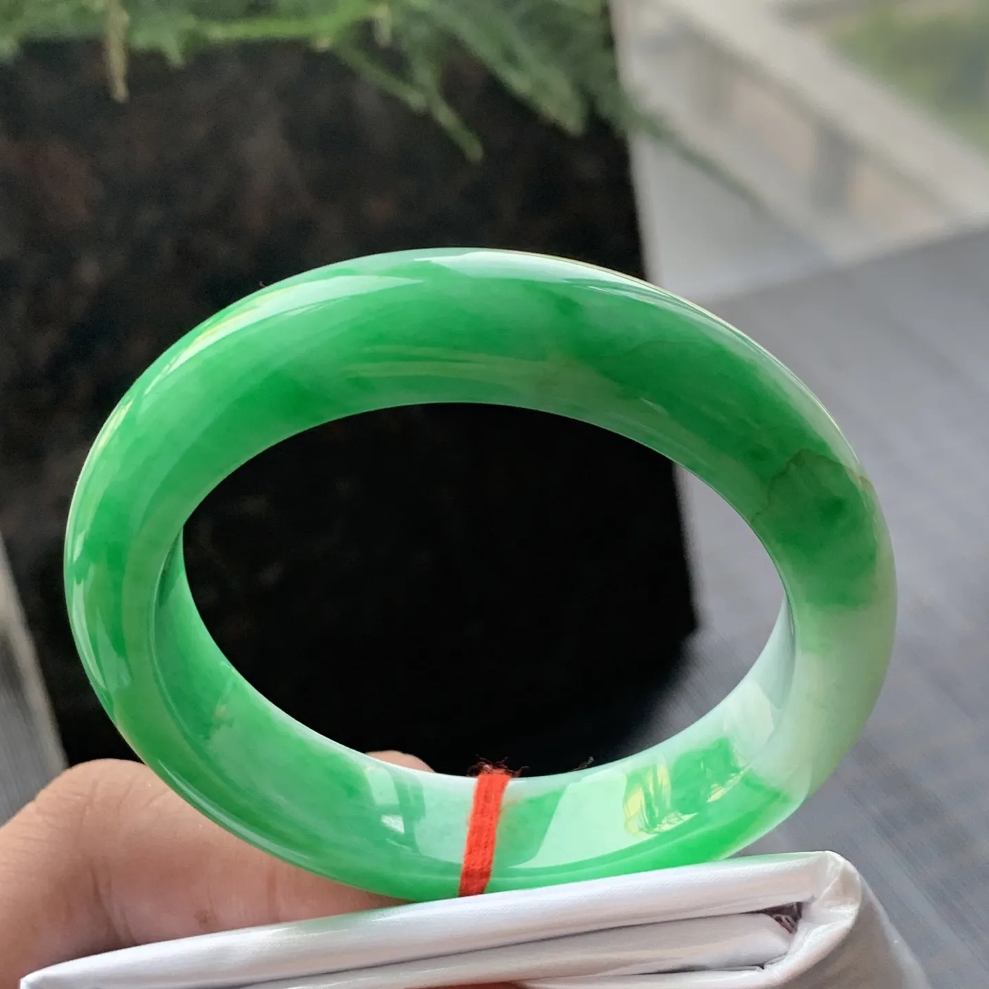 正圈一大圈阳绿 有条水印线 尺寸:50.4/11.8/8.3 色阳