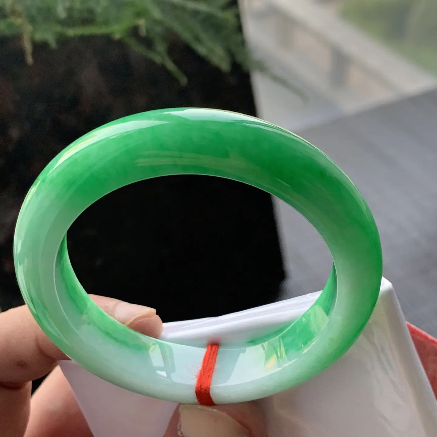 正圈一大圈阳绿 有条水印线 尺寸:50.4/11.8/8.3 色阳