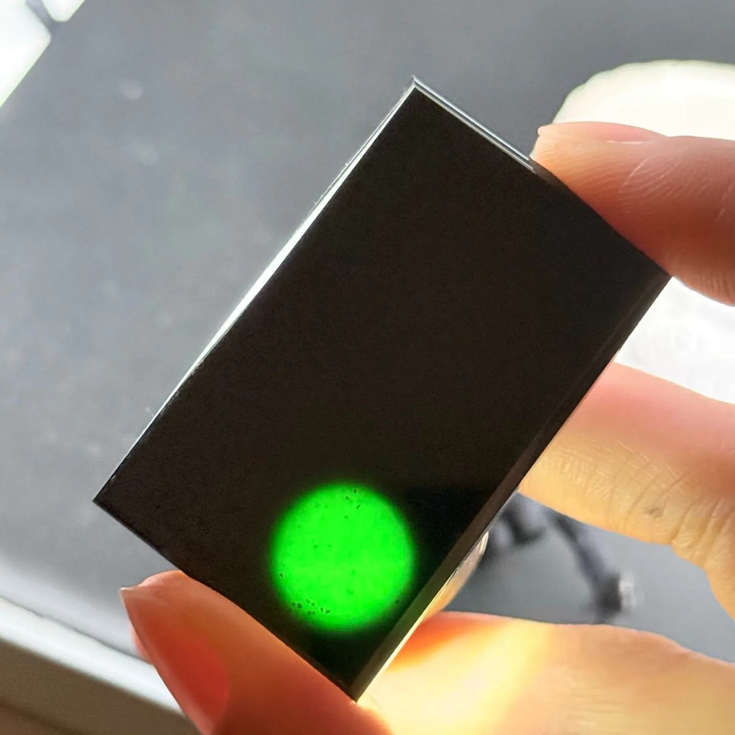 精品墨翠无事牌 种好色正 黑度极好 打灯通透 油性十足 尺寸47.5