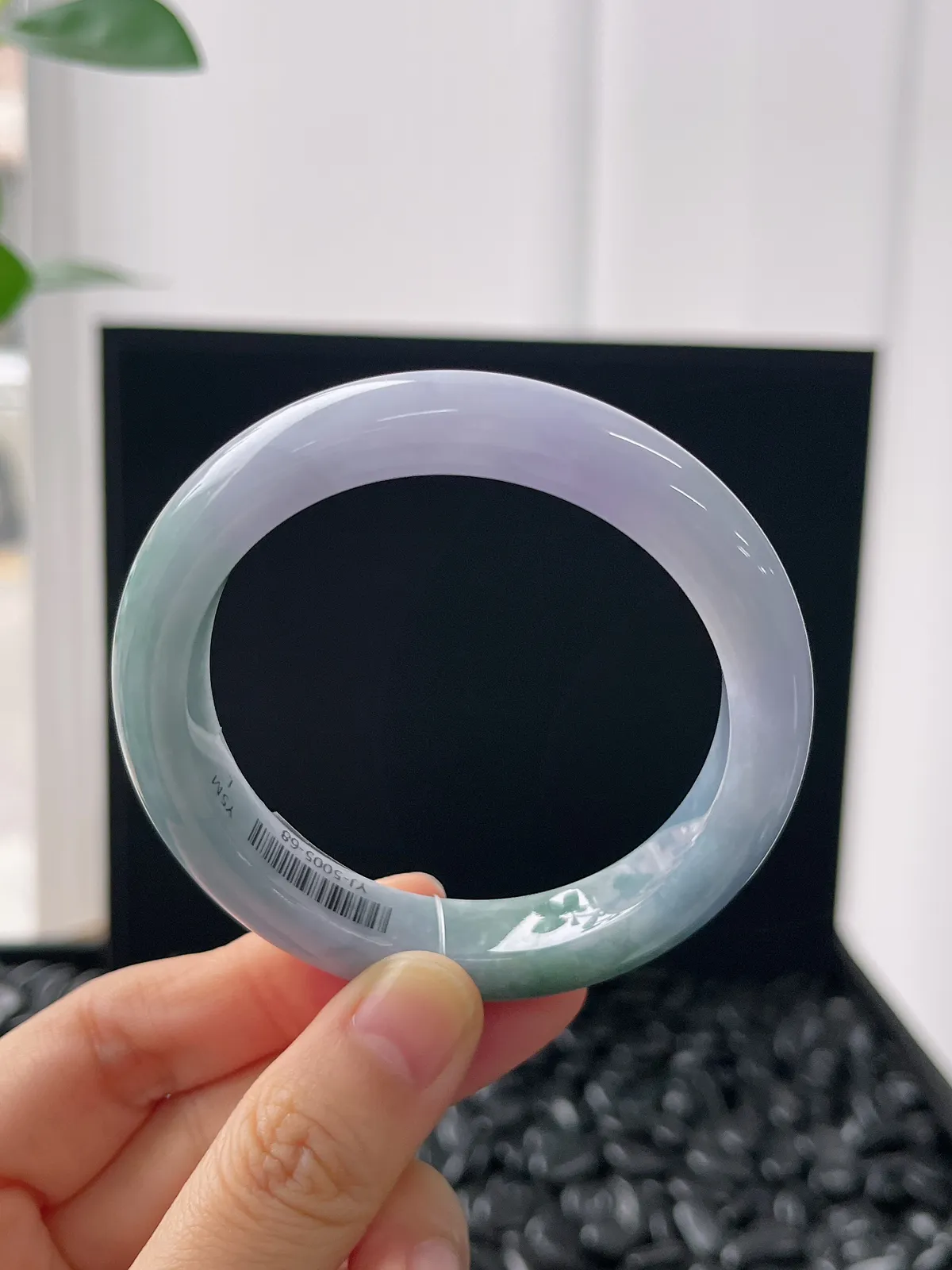 正圈53圈口，翡翠糯化种春带彩手镯