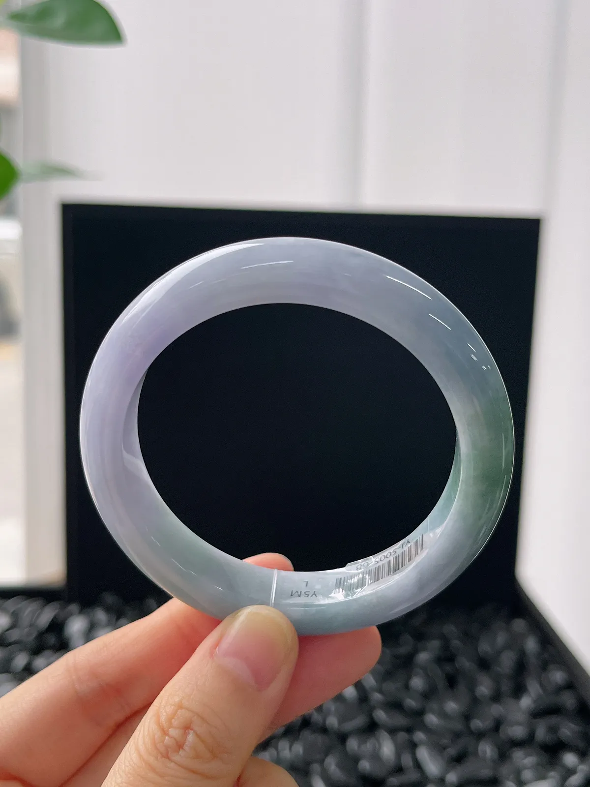 正圈53圈口，翡翠糯化种春带彩手镯