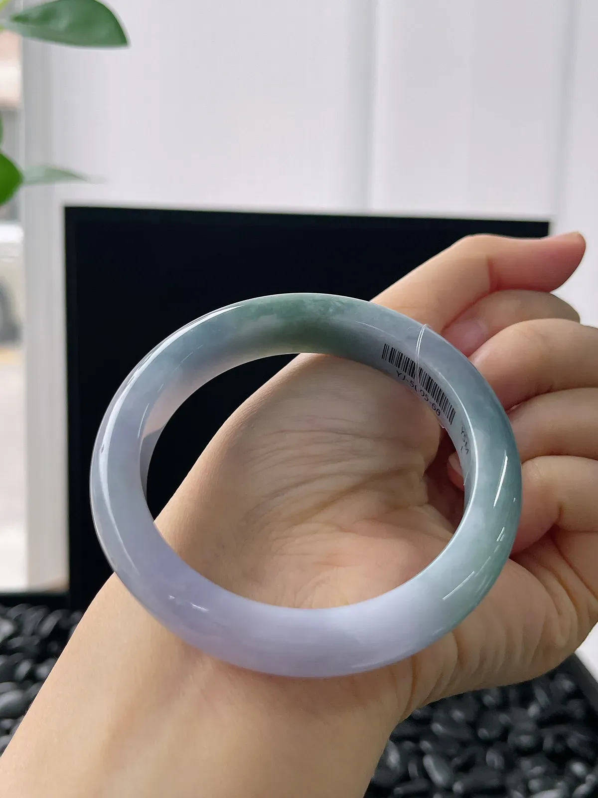 正圈53圈口，翡翠糯化种春带彩手镯