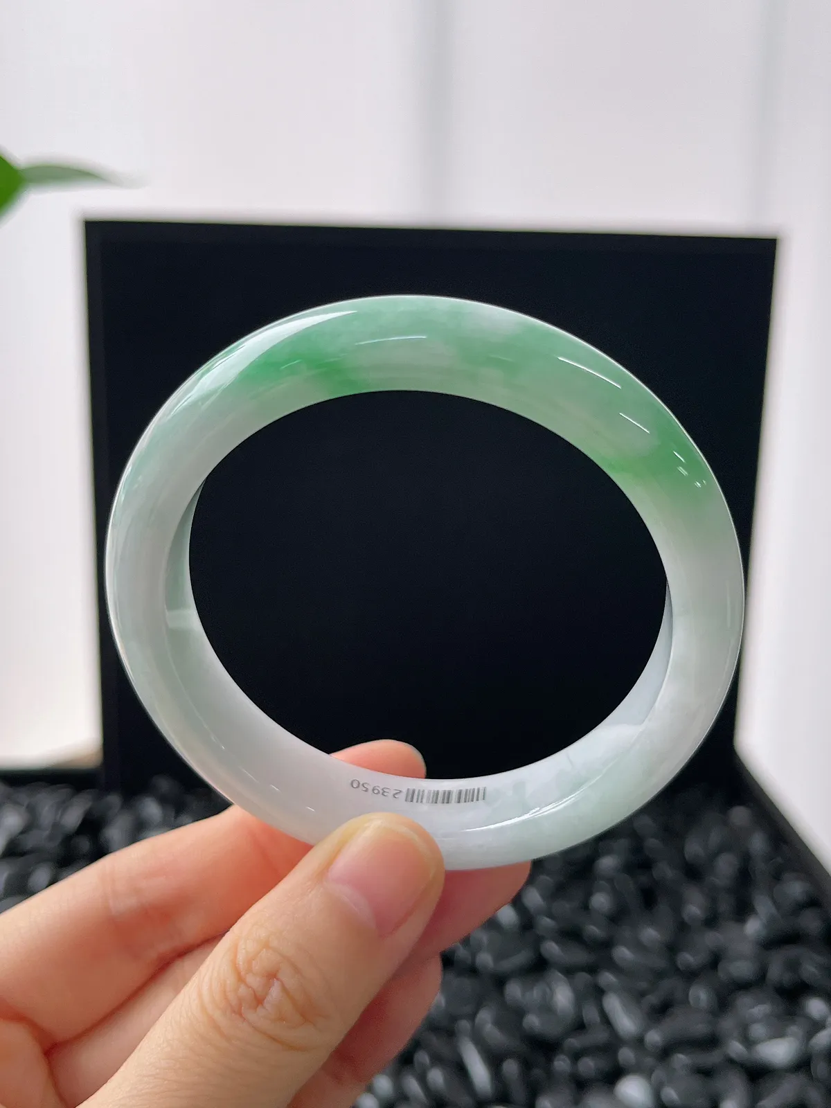 正圈55.2圈口，翡翠糯化种飘绿手镯