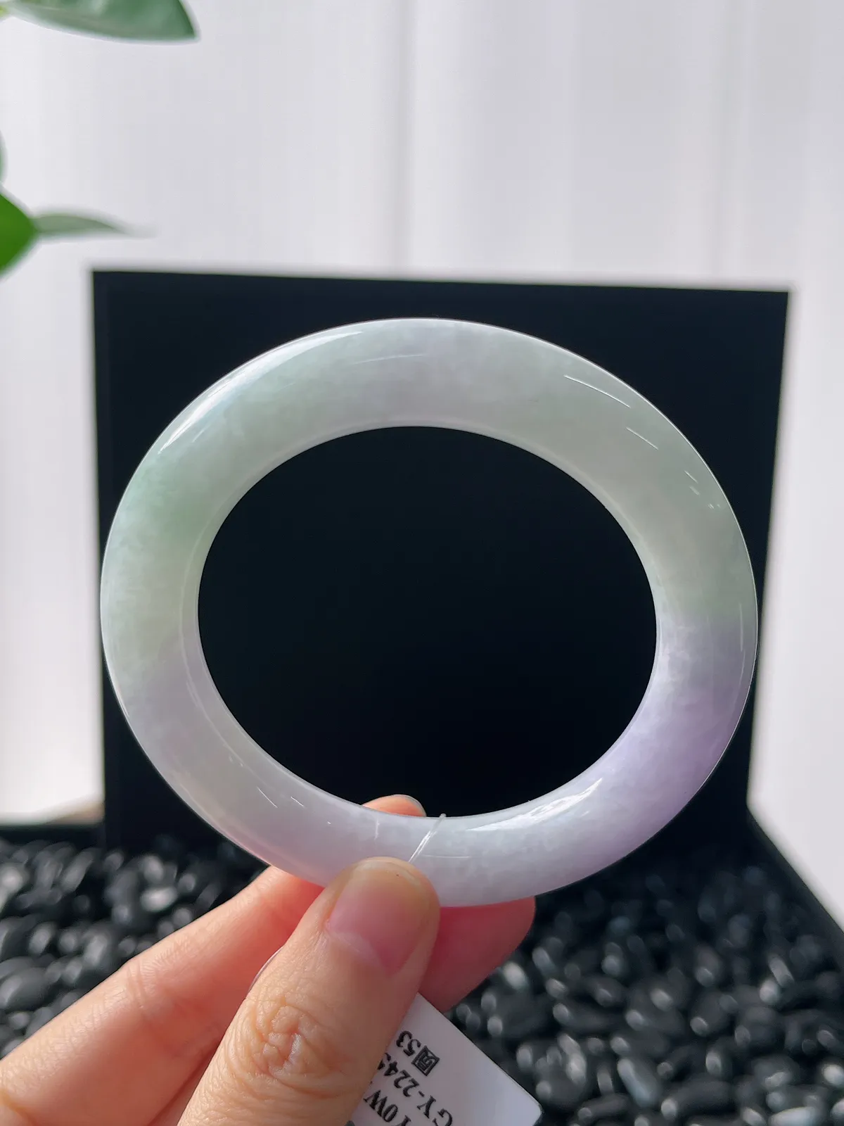 圆镯53圈口，翡翠糯化种春带彩手镯