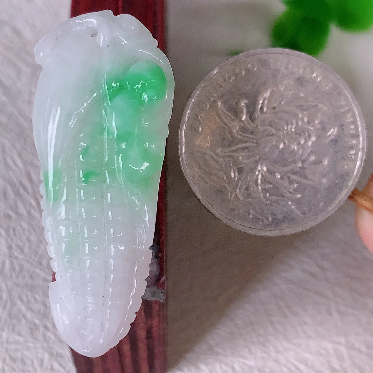 自然光实拍，多子多福玉米飘绿翡翠吊坠，种老水足，雕工精湛 ，寓意美好，佩戴时尚出众！#57.17