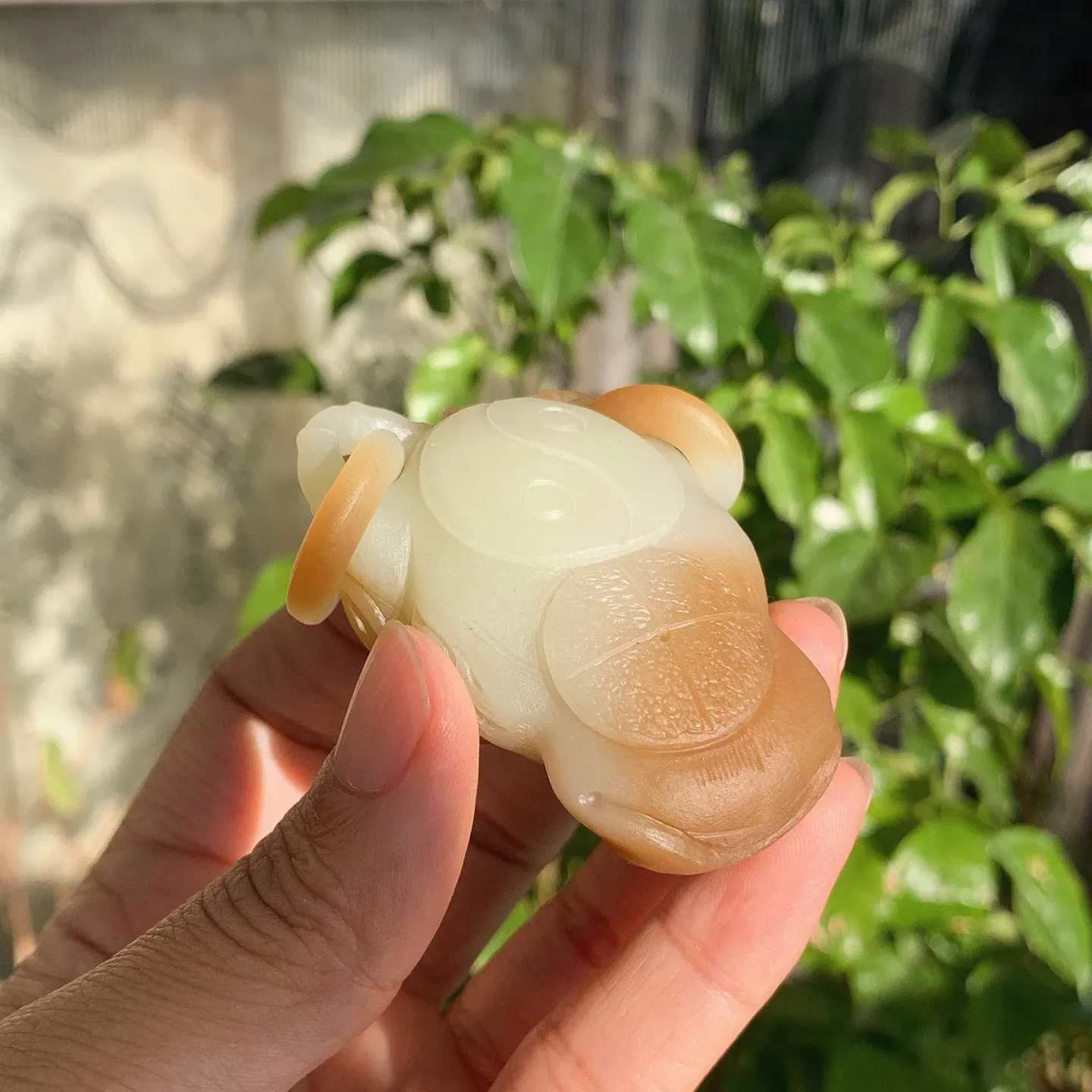 新疆且末糖扭转乾坤牛头挂件。尺寸60/43/27重91克。玉质细腻油润。手推出油。品相大气。lt251120