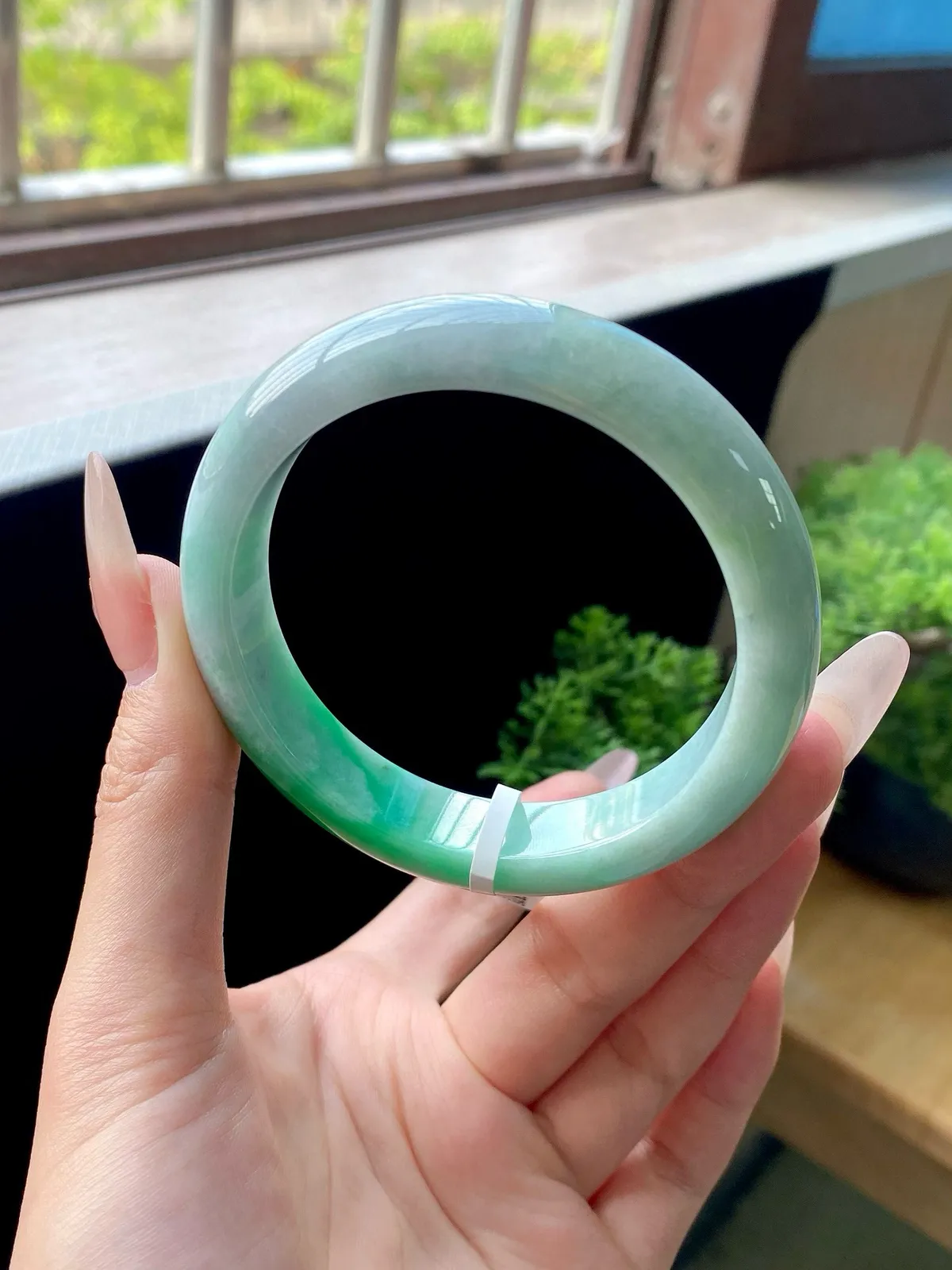 阳绿白底青乌鸡正圈成品
⭕️58-13.3-8.6