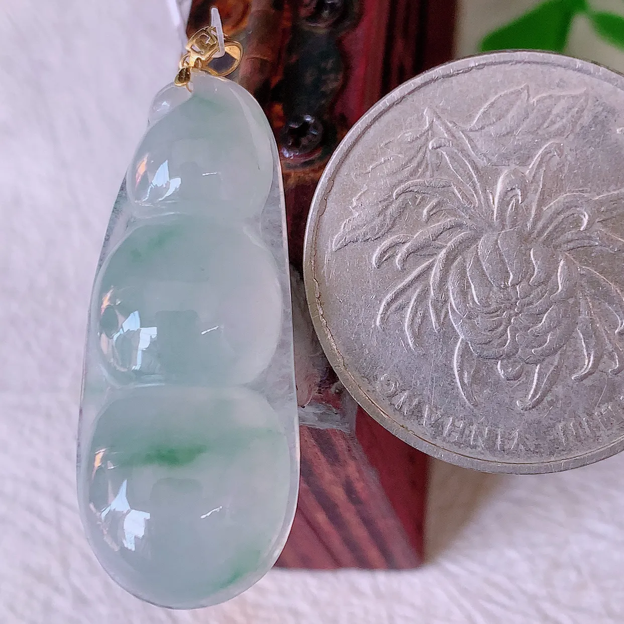 18K金镶嵌冰种飘花翡翠四季豆吊坠，平安豆福豆玉坠，冰润通透，豆粒饱满，寓意：豆蔻年华！#49.27