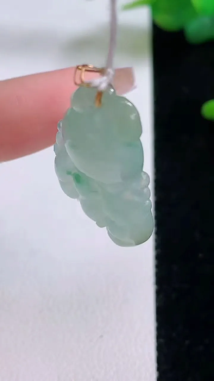 天然A货翡翠双彩佛手瓜吊坠，尺寸31.8-16.7-6.4，重量:5.70g
12月5日