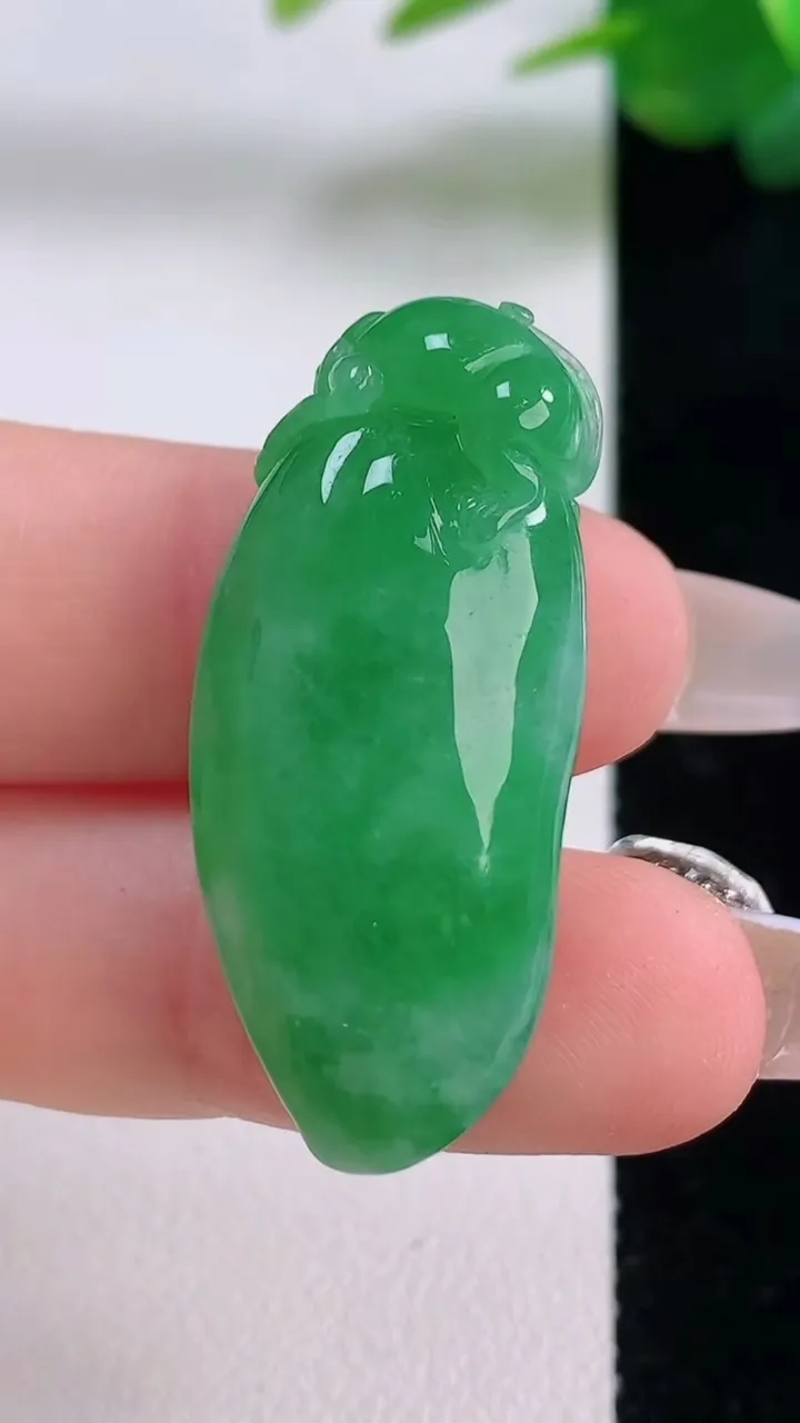 天然A货翡翠福瓜吊坠，尺寸36-15.6-10，重量:9.75g
12月6日