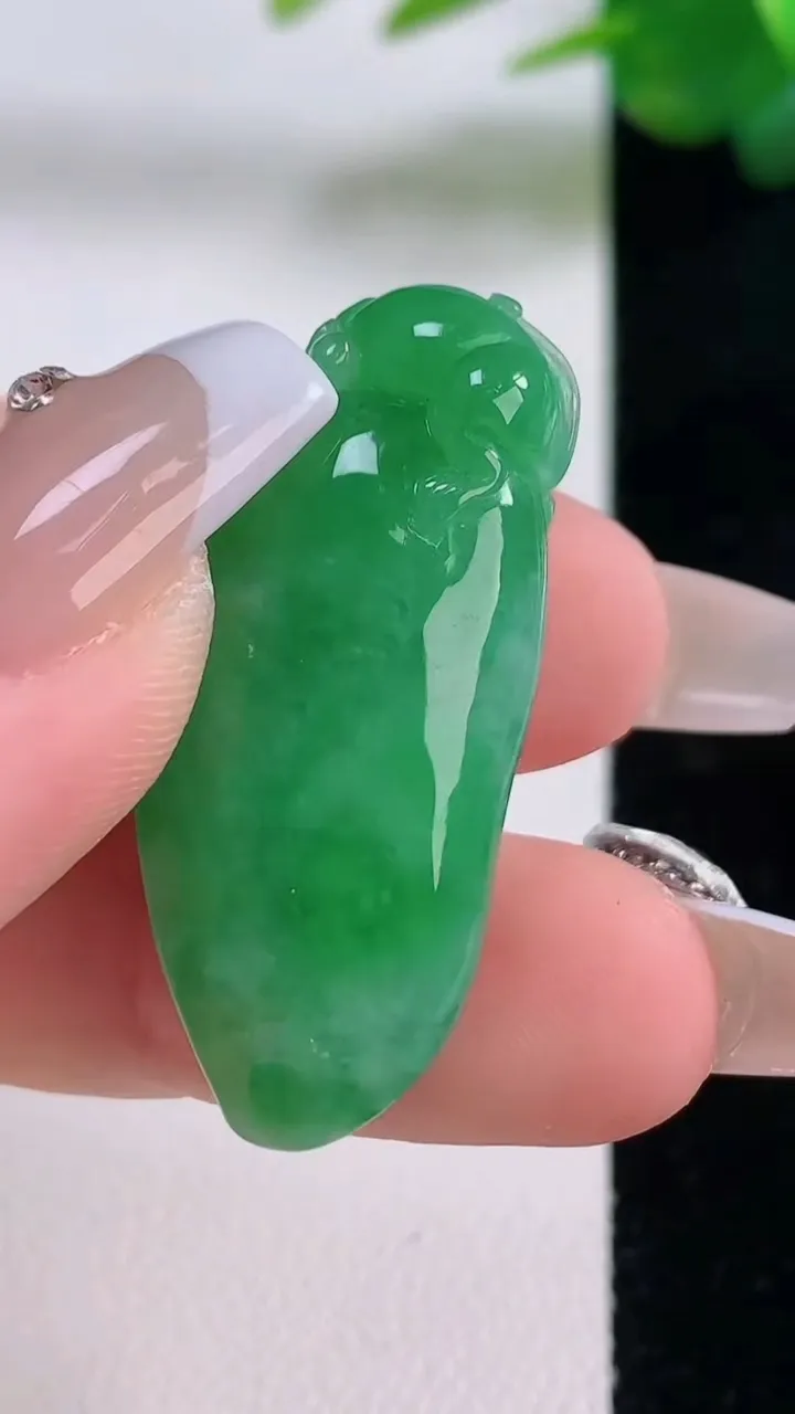 天然A货翡翠福瓜吊坠，尺寸36-15.6-10，重量:9.75g
12月6日