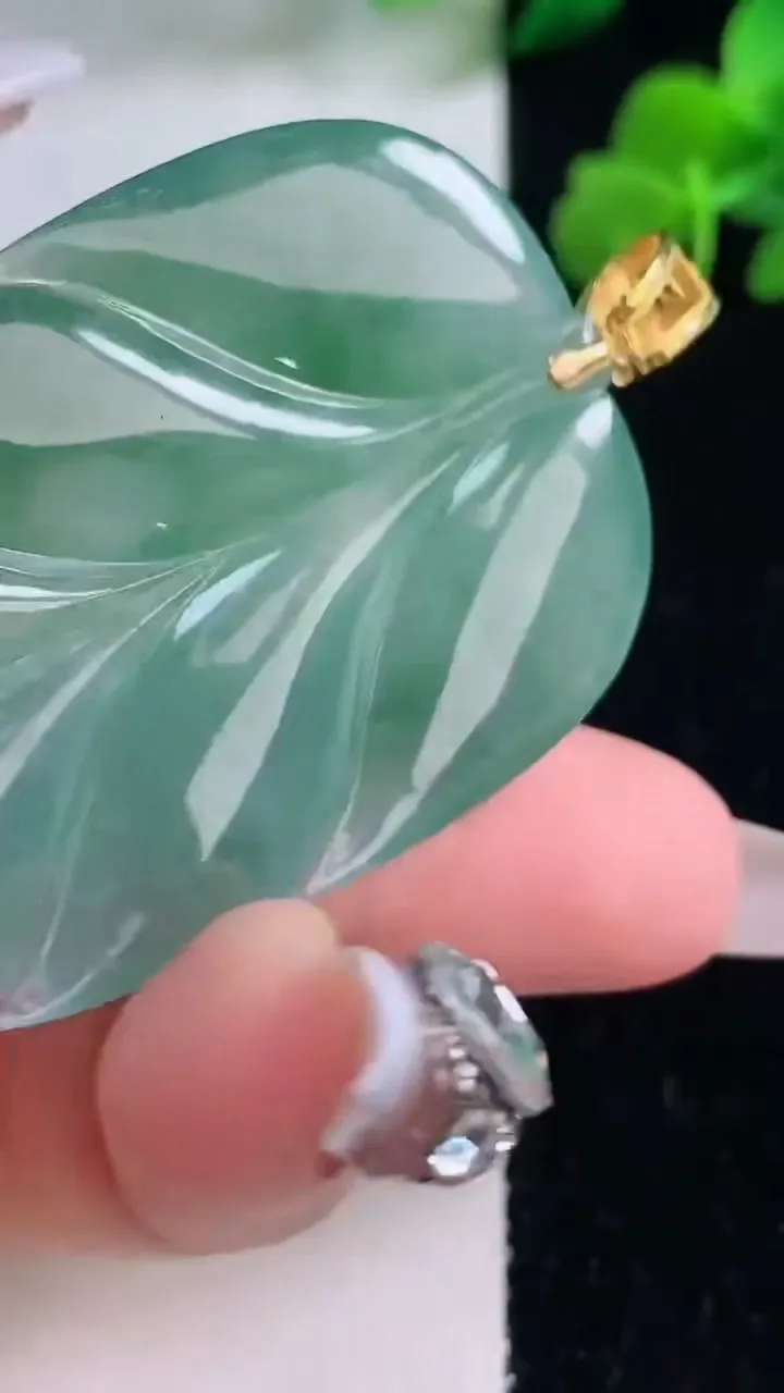 天然A货翡翠金枝玉叶 叶子吊坠，尺寸52-33.5-5.6，重量:21.34g
12月8日