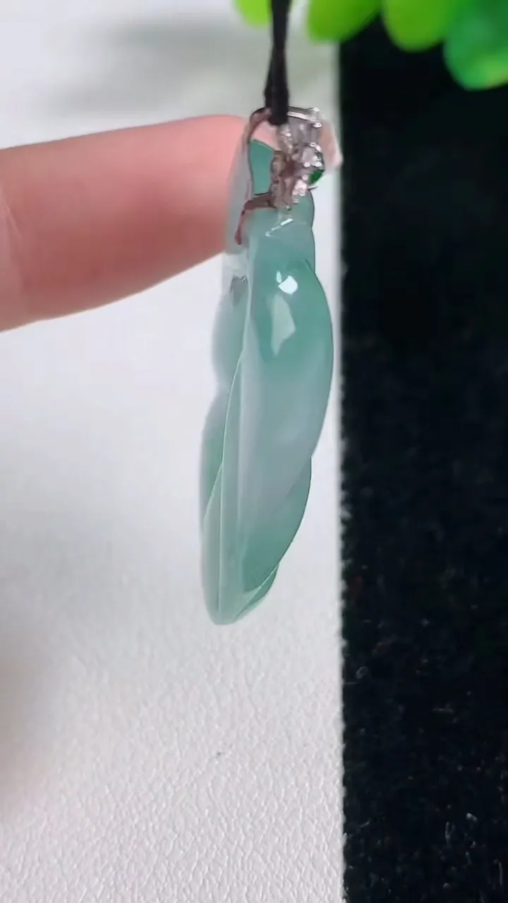 天然A货翡翠种飘花金枝玉叶 叶子吊坠，尺寸40.8-26.5-5.9，重量:12.55g
12月12日