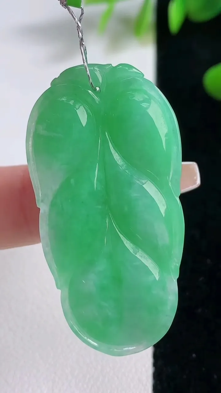 天然A货翡翠金枝玉叶 叶子吊坠，尺寸44-22.5-5.8，重量:11.10g
12月18日