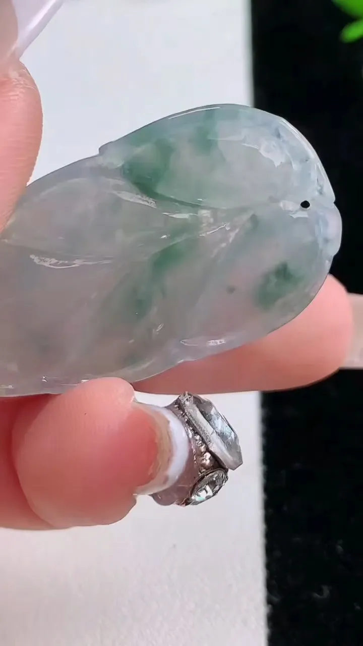 天然A货翡翠飘花金枝玉叶 叶子吊坠，尺寸39.5-21.9-4.1，重:6.61g
12月20日