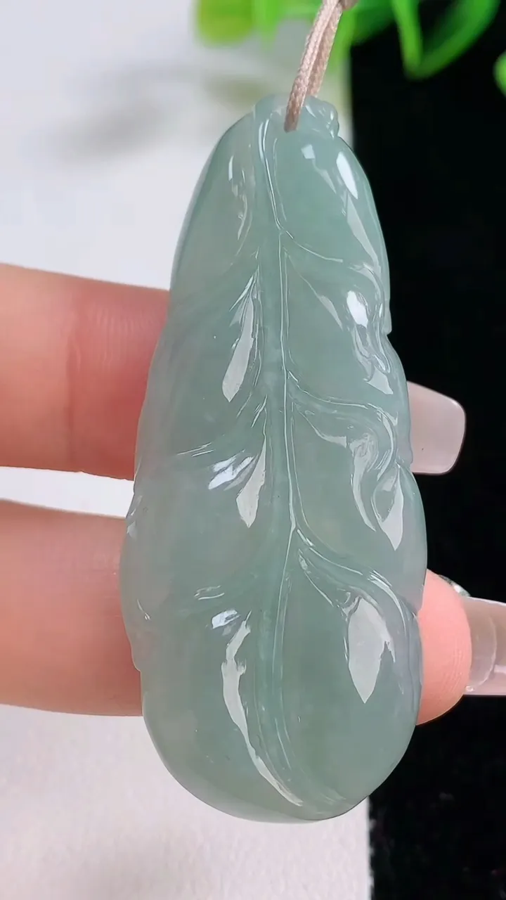 天然A货翡翠金枝玉叶 叶子吊坠，尺寸54-22.2-5.8，重量:13.54g
12月22日