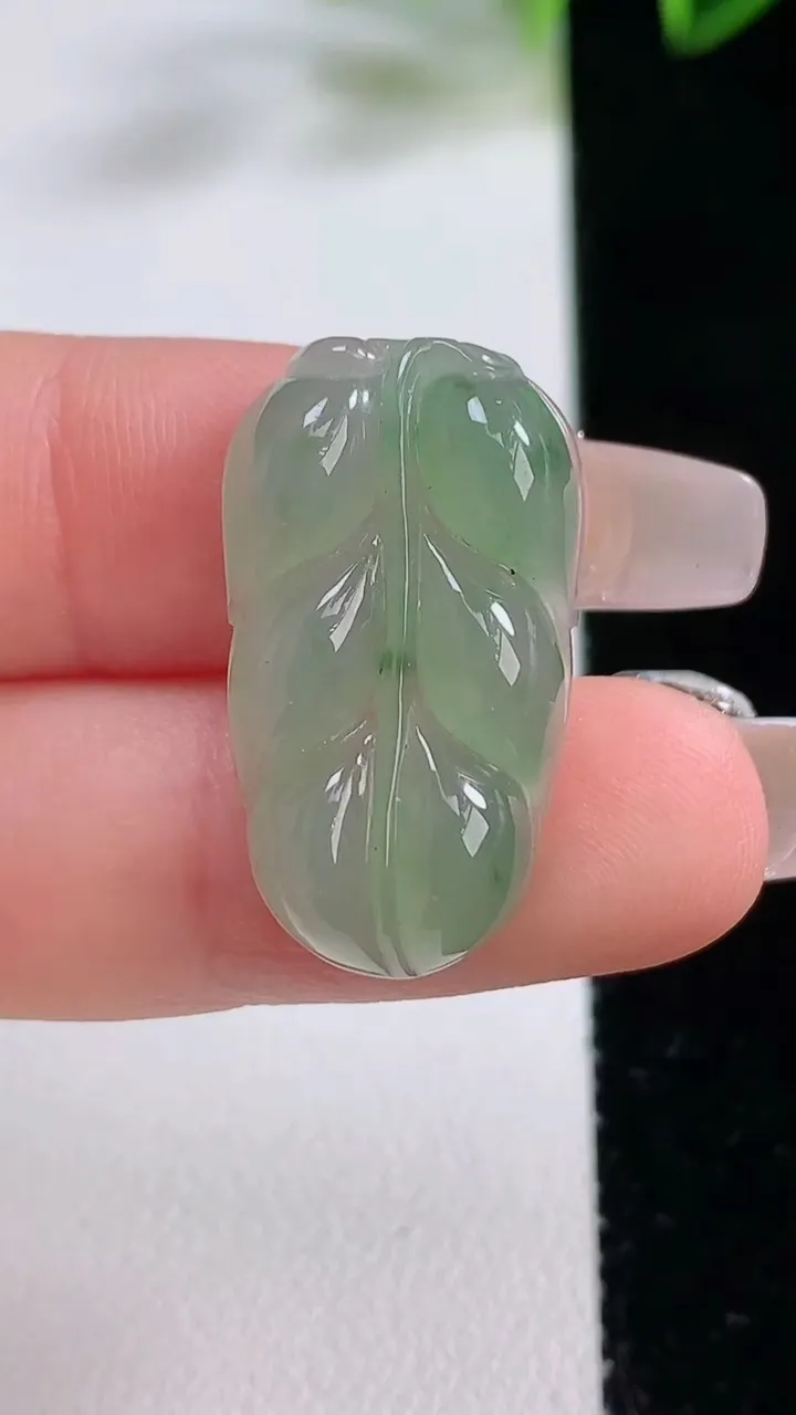 天然A货翡翠金枝玉叶 叶子吊坠，尺寸26.7-14.8-6，重量:3.88g
12月22日