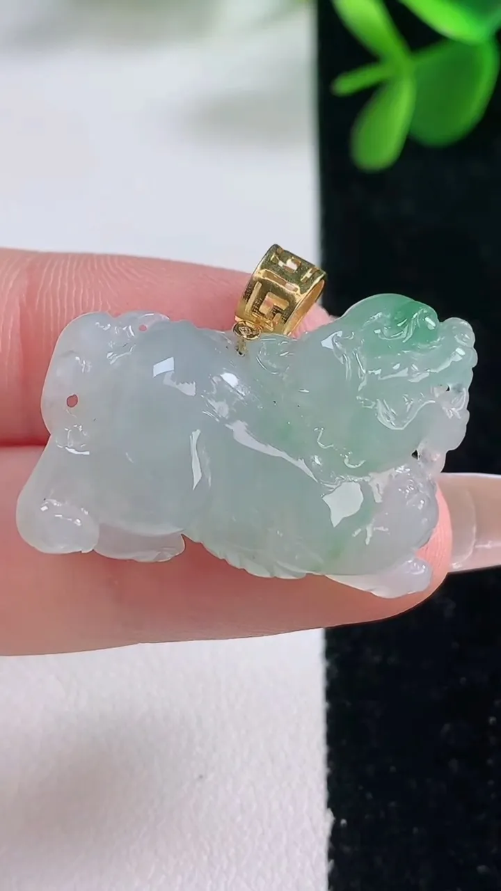 天然A货翡翠貔貅吊坠，尺寸20.7-27.8-8.6，重量:10.23g
12月26日