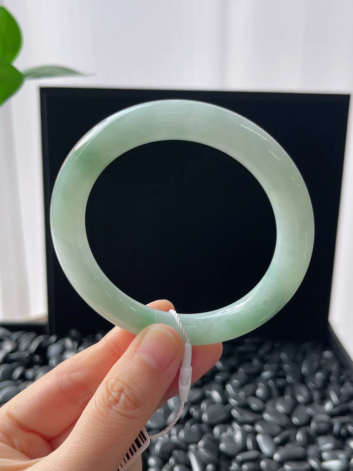 圆镯55圈口，翡翠糯化种浅绿色手镯