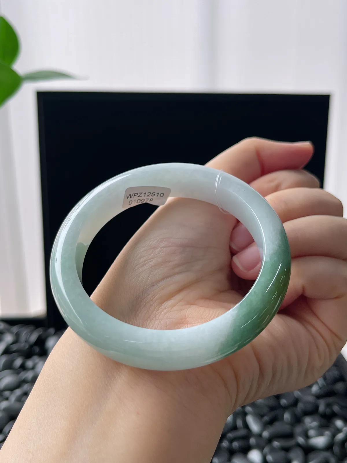 正圈53.9圈口，翡翠糯化种绿色手镯