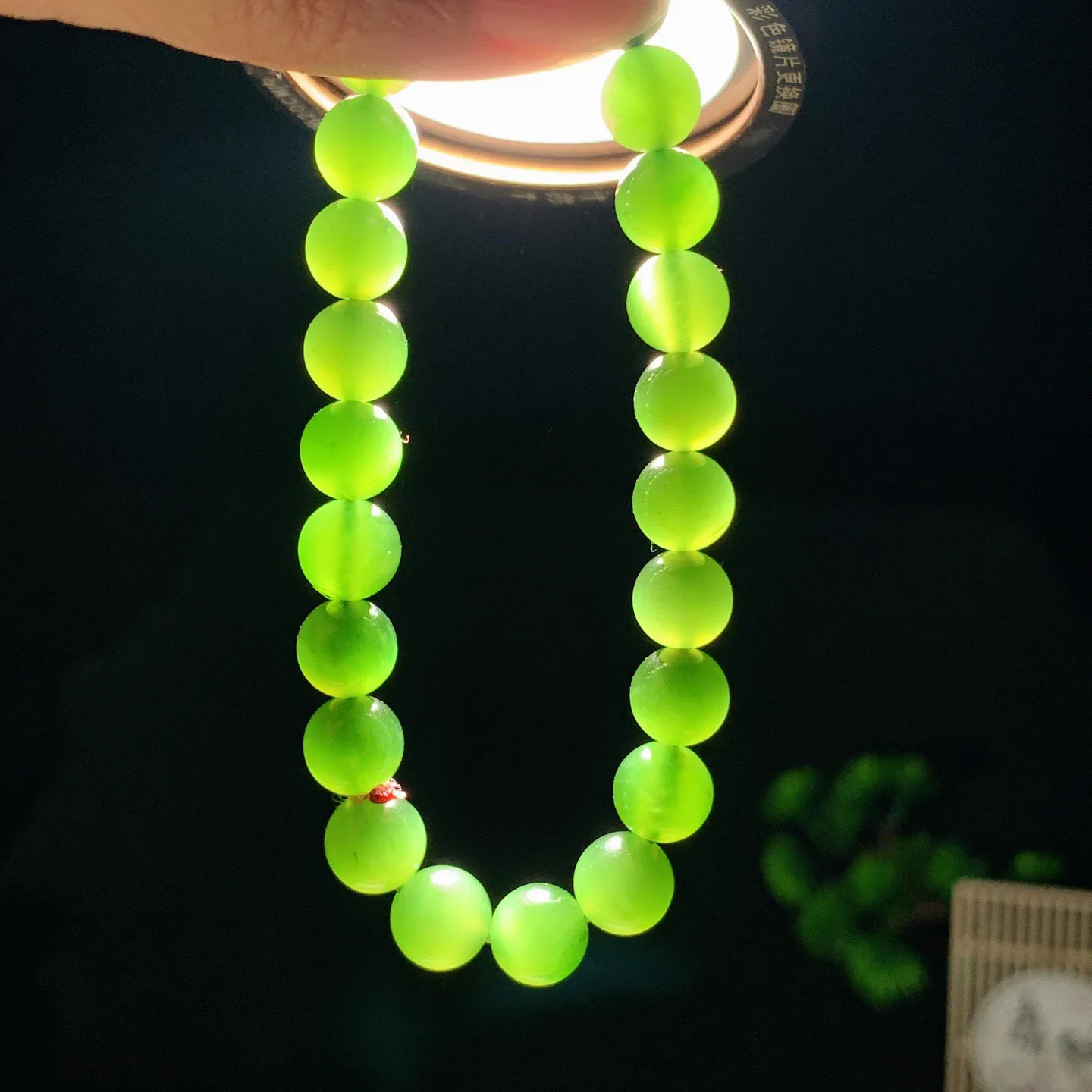 和田玉菠菜绿俄罗斯碧玉手串。单颗尺寸8！玉质细腻油润。手推出油。佩戴高端典雅。lt251201