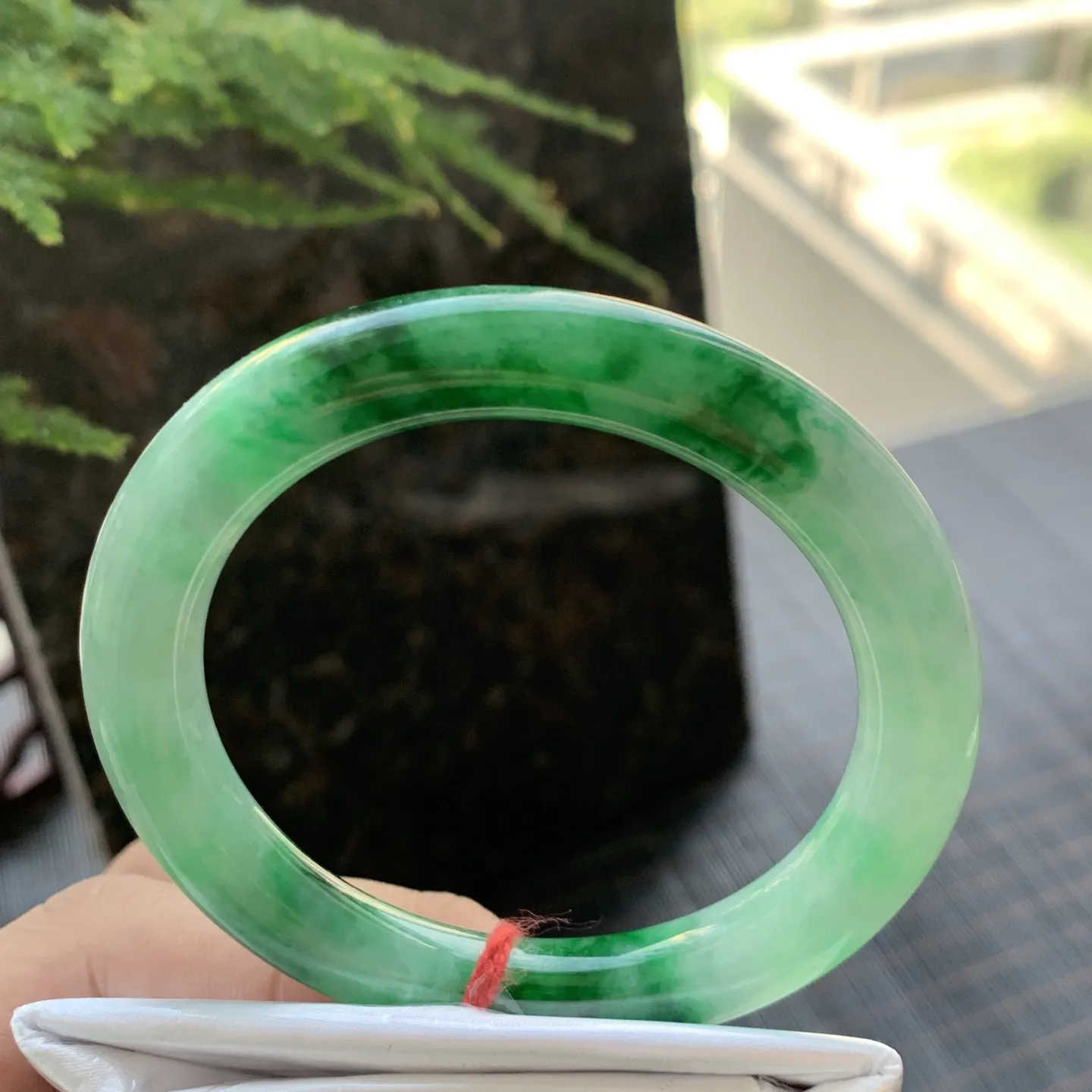 圆条冰糯辣绿 微纹 尺寸:54.1/9.3 色辣