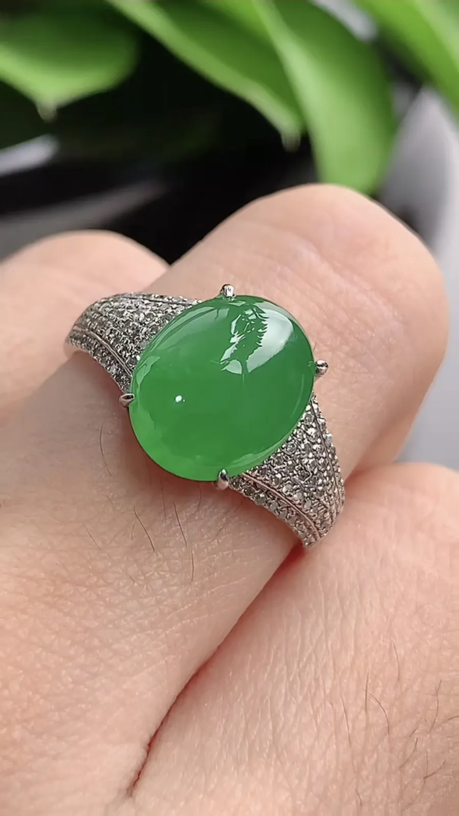 a货翡翠老坑冰种18K金伴钻镶嵌阳绿蛋面戒指 圈口18.2裸石尺寸11.2×9mm 重量3.85g 1201