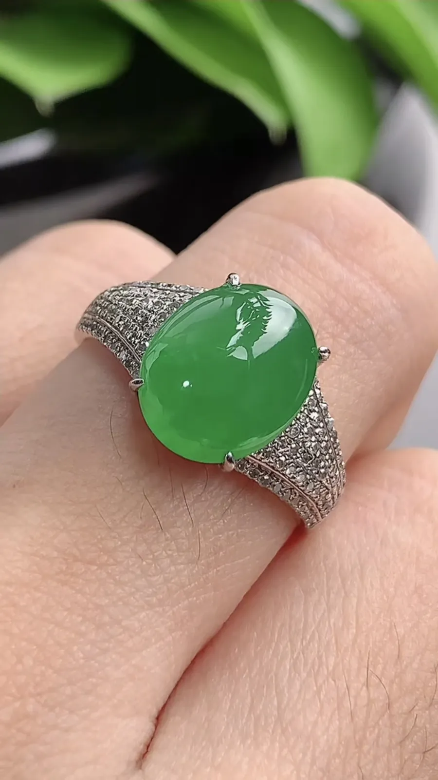 a货翡翠老坑冰种18K金伴钻镶嵌阳绿蛋面戒指 圈口18.2裸石尺寸11.2×9mm 重量3.85g 1201