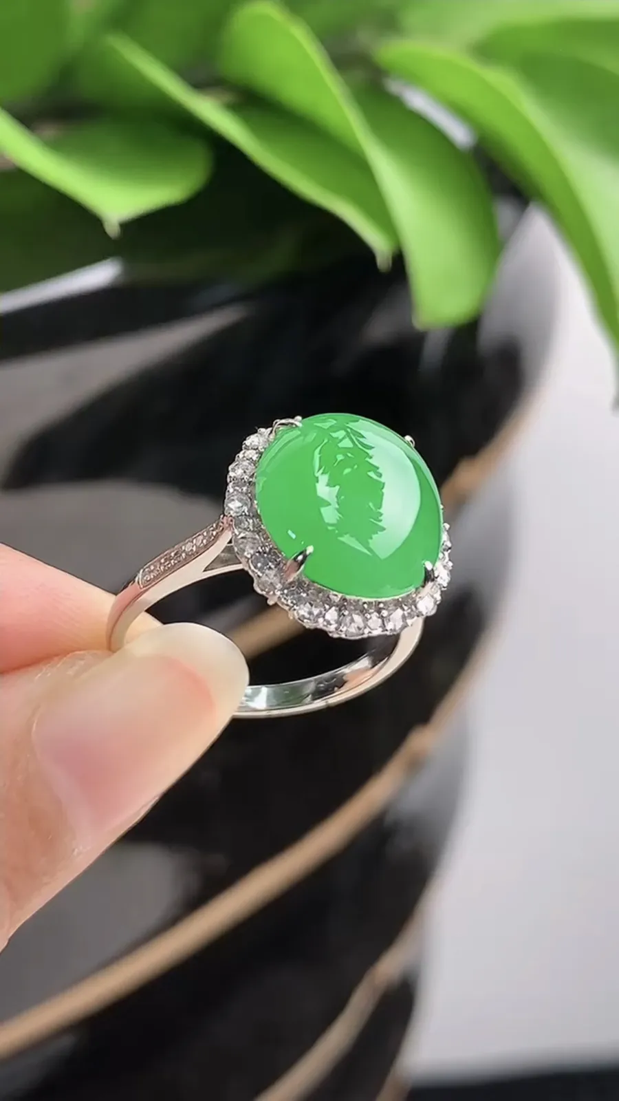 a货翡翠老坑冰种18K金伴钻镶嵌阳绿蛋面戒指 圈口17.3裸石尺寸12×11.2mm 重量3.66g 1201