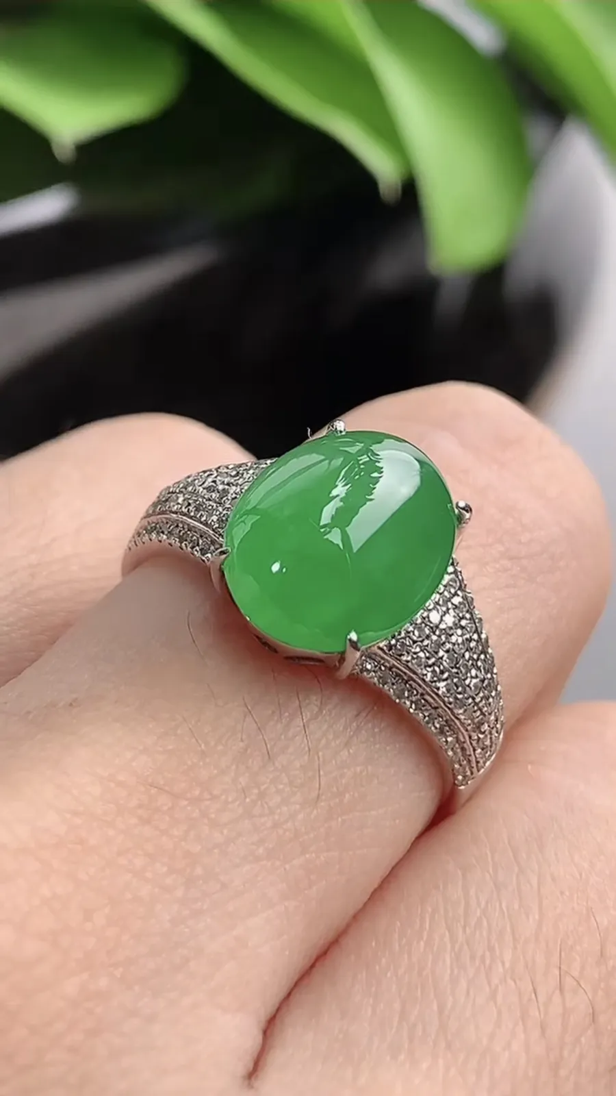 a货翡翠老坑冰种18K金伴钻镶嵌阳绿蛋面戒指 圈口18.2裸石尺寸11.2×9mm 重量3.85g 1201