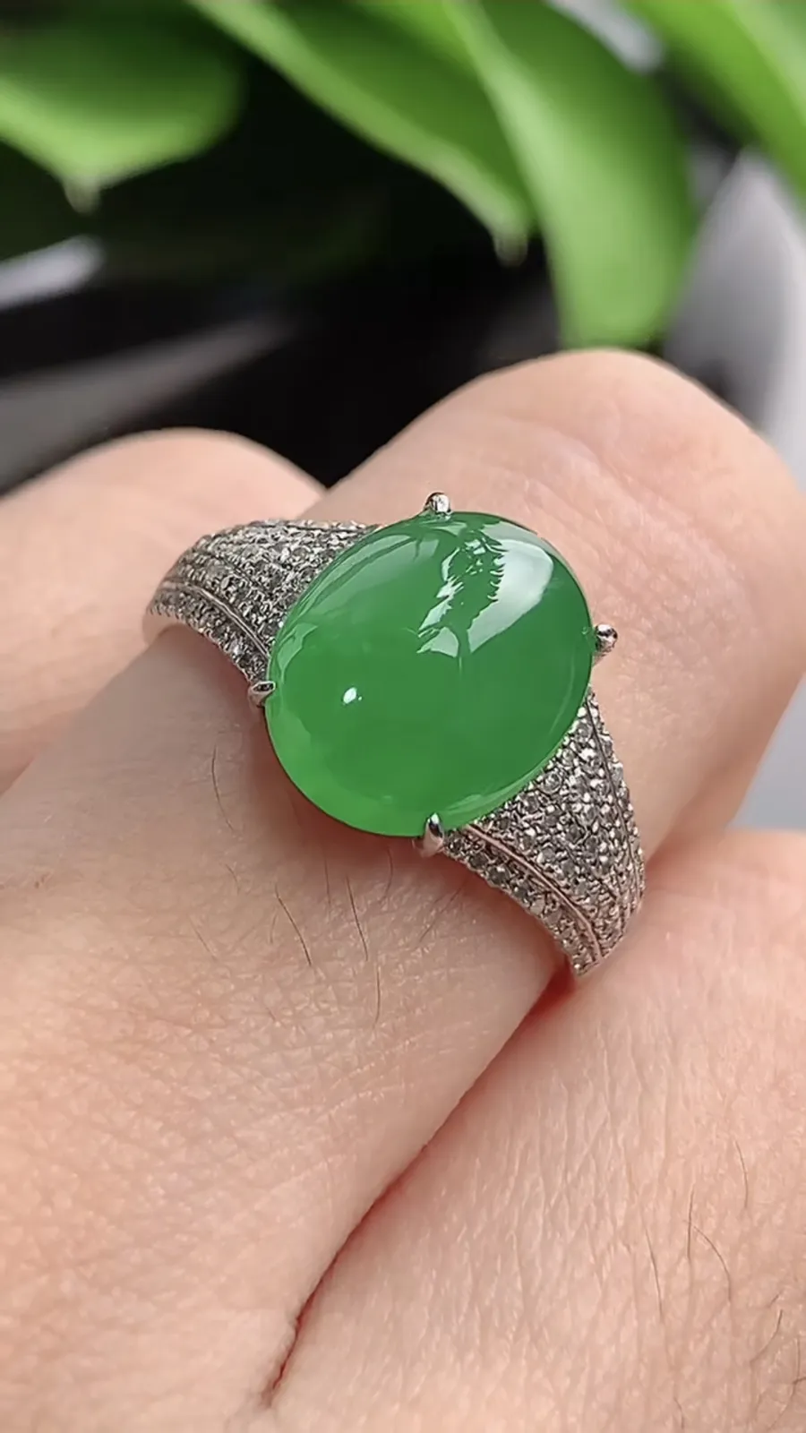 a货翡翠老坑冰种18K金伴钻镶嵌阳绿蛋面戒指 圈口18.2裸石尺寸11.2×9mm 重量3.85g 1201