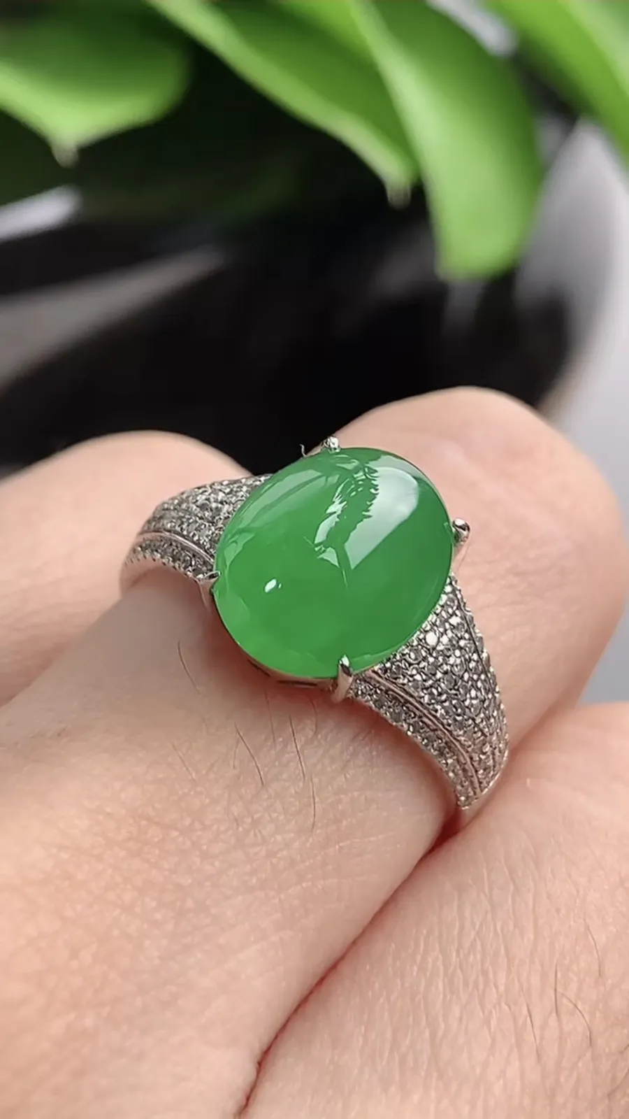 a货翡翠老坑冰种18K金伴钻镶嵌阳绿蛋面戒指 圈口18.2裸石尺寸11.2×9mm 重量3.85g 1201