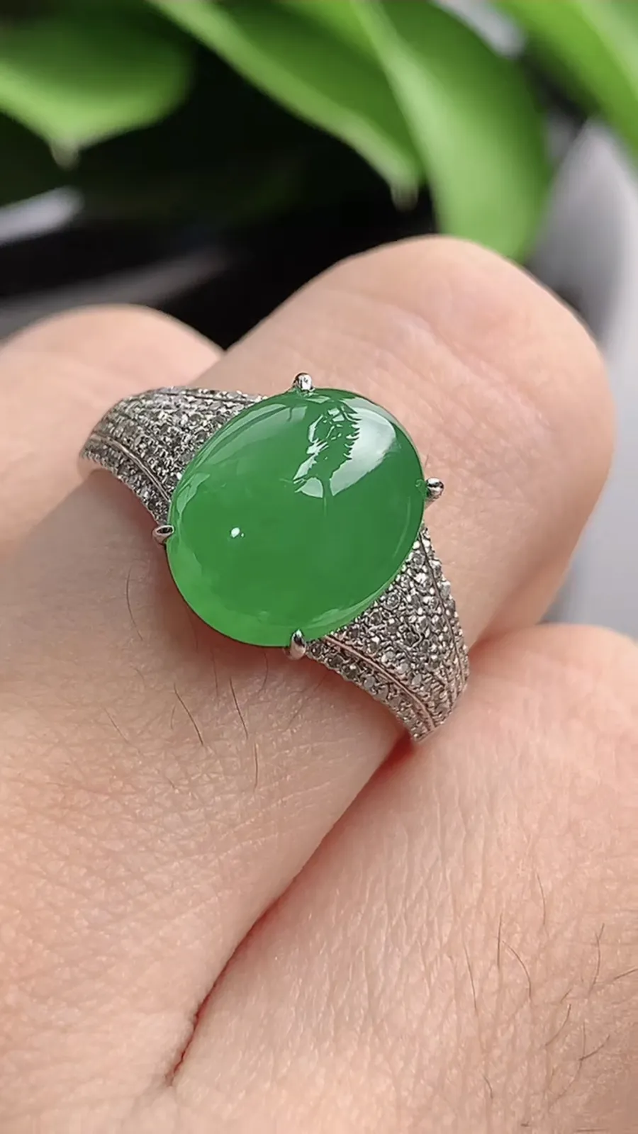 a货翡翠老坑冰种18K金伴钻镶嵌阳绿蛋面戒指 圈口18.2裸石尺寸11.2×9mm 重量3.85g 