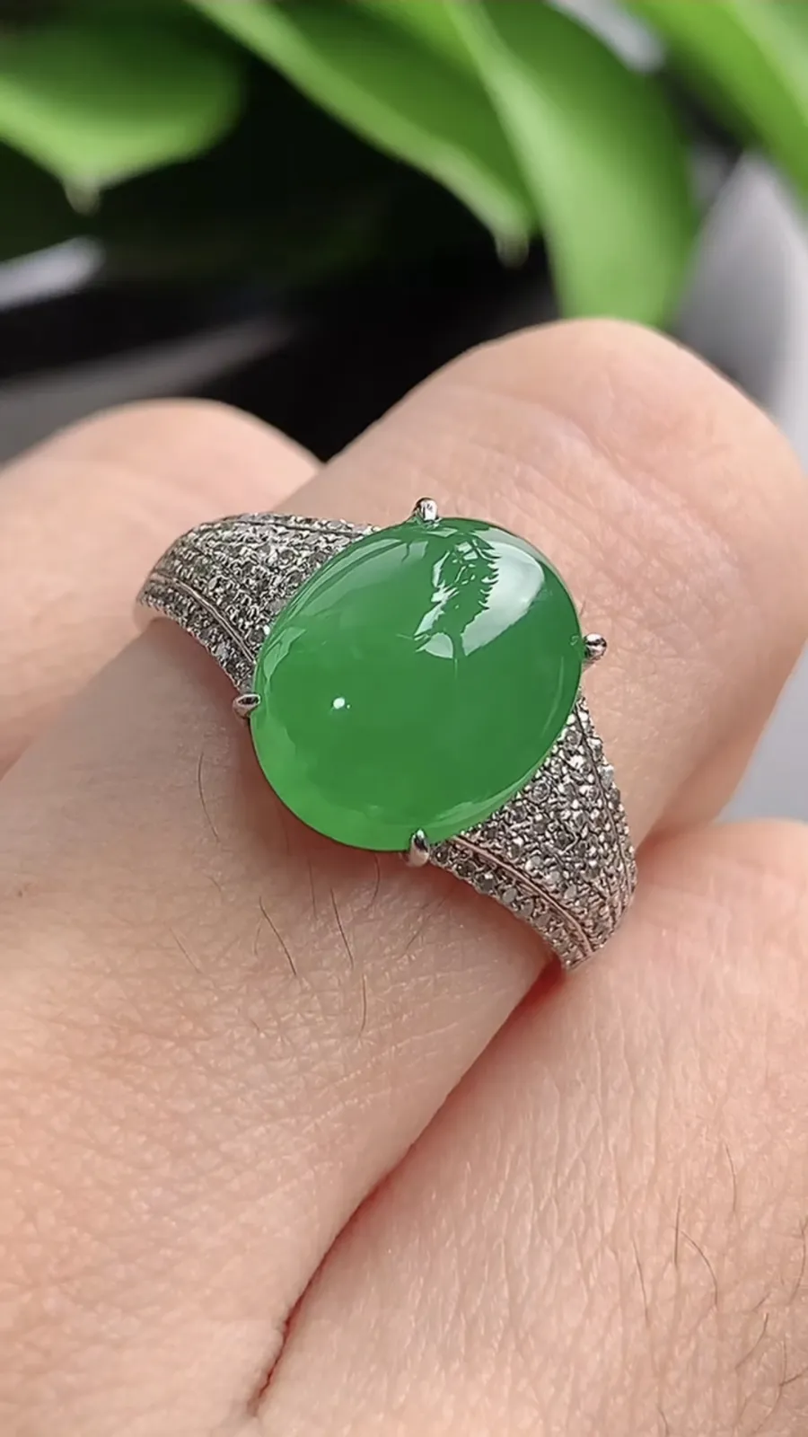 a货翡翠老坑冰种18K金伴钻镶嵌阳绿蛋面戒指 圈口18.2裸石尺寸11.2×9mm 重量3.85g 1201