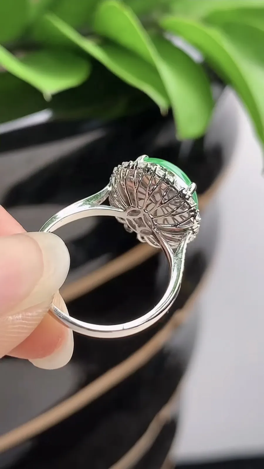 a货翡翠老坑冰种18K金伴钻镶嵌阳绿蛋面戒指 圈口17.3裸石尺寸12×11.2mm 重量3.66g 1201