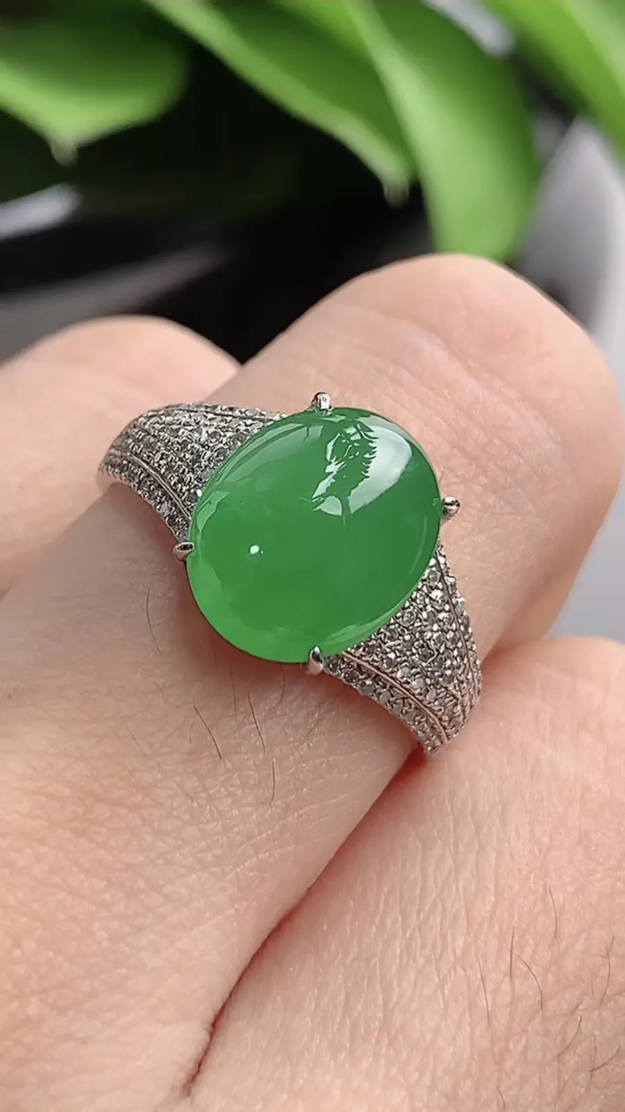 a货翡翠老坑冰种18K金伴钻镶嵌阳绿蛋面戒指 圈口18.2裸石尺寸11.2×9mm 重量3.85g 1201