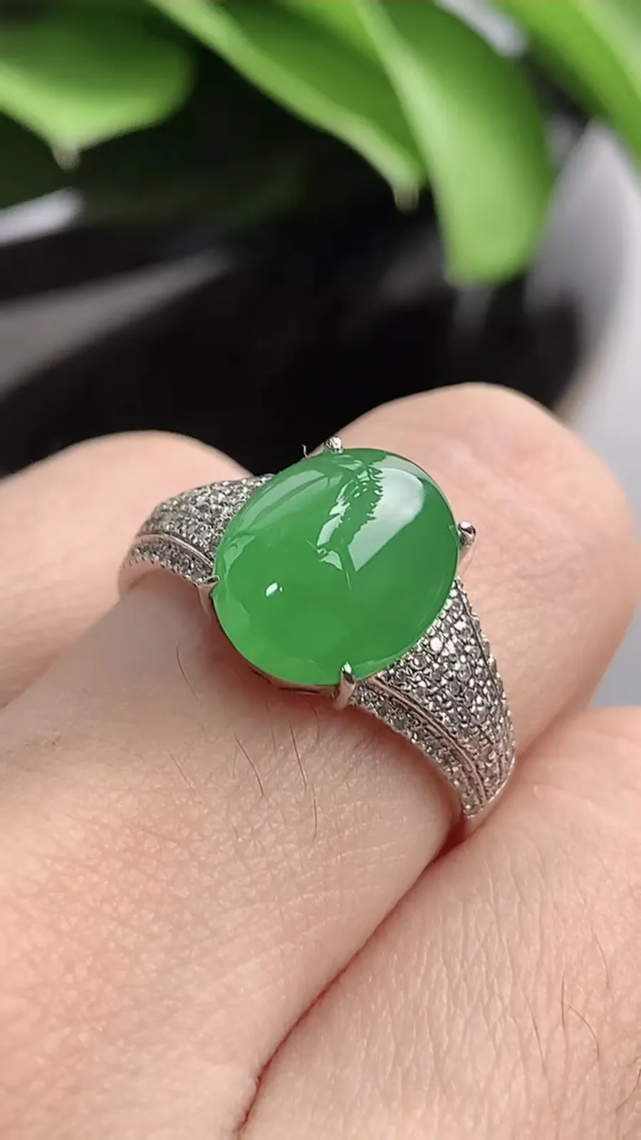 a货翡翠老坑冰种18K金伴钻镶嵌阳绿蛋面戒指 圈口18.2裸石尺寸11.2×9mm 重量3.85g 1201