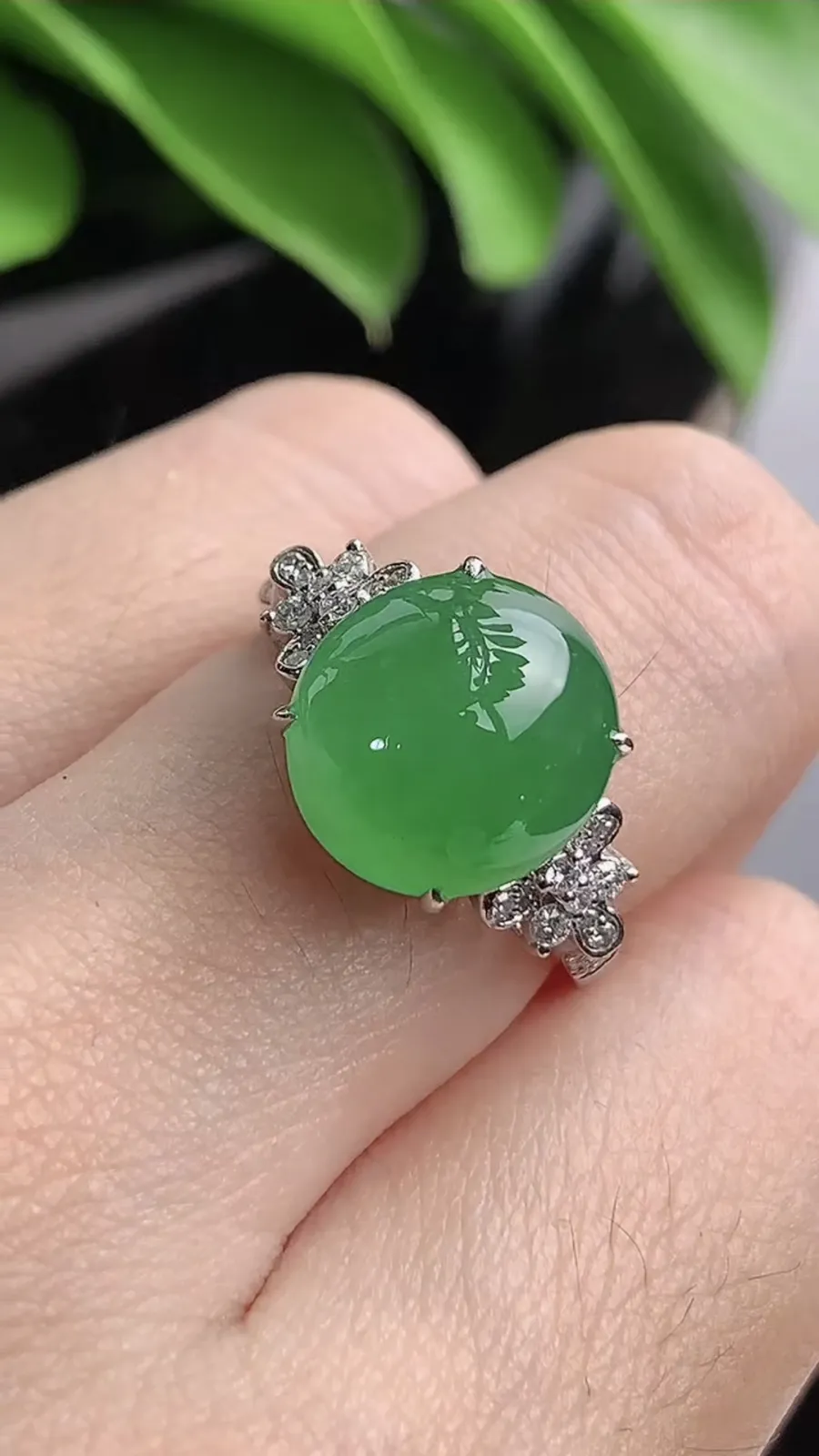 a货翡翠老坑冰种18K金伴钻镶嵌阳绿蛋面戒指 圈口17.3裸石尺寸11.5×10.6mm 重量5.00g 1203
