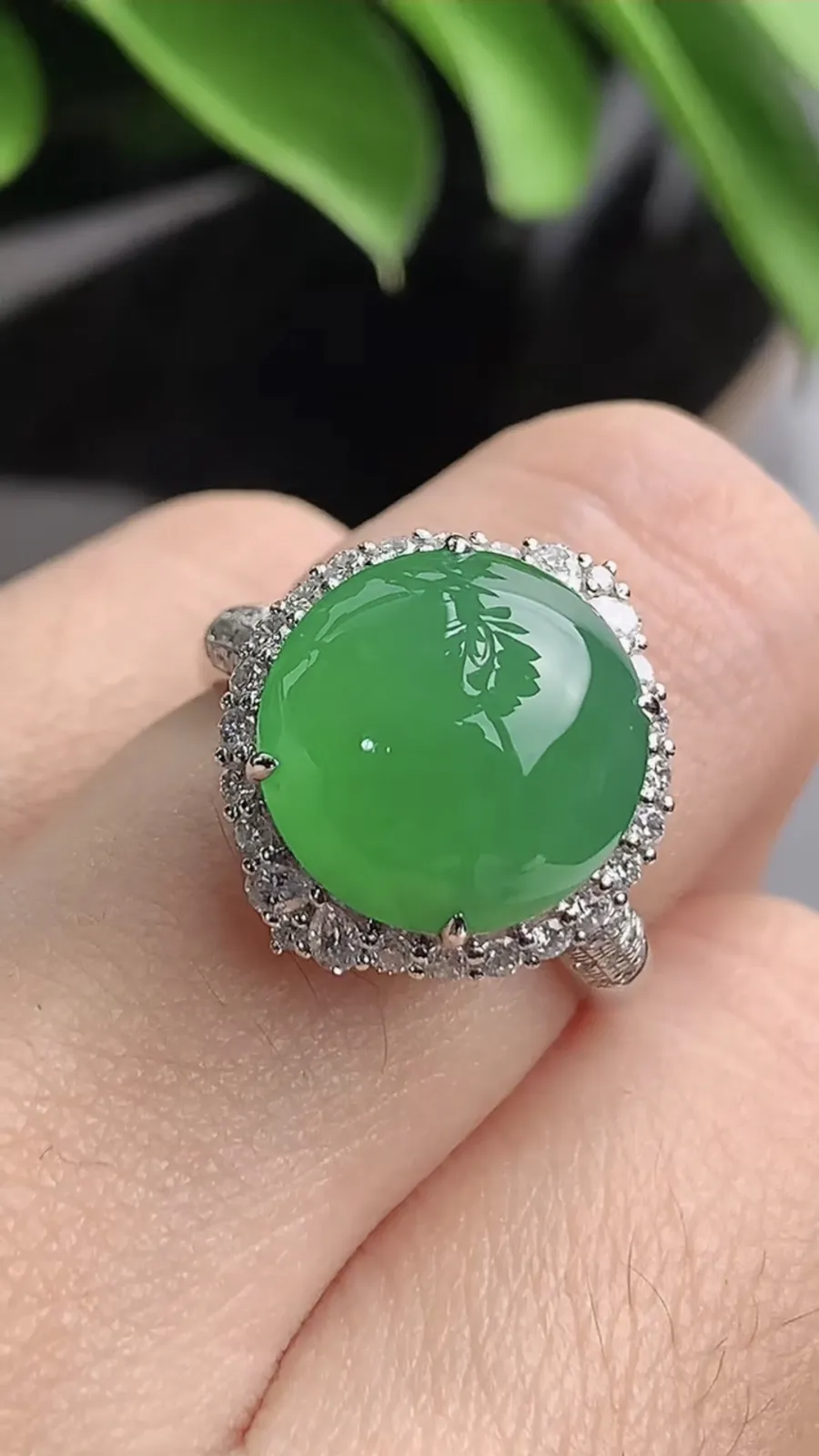 a货翡翠老坑冰种18K金伴钻镶嵌阳绿蛋面戒指 圈口17.3裸石尺寸12×11.7mm 重量5.00g 1203