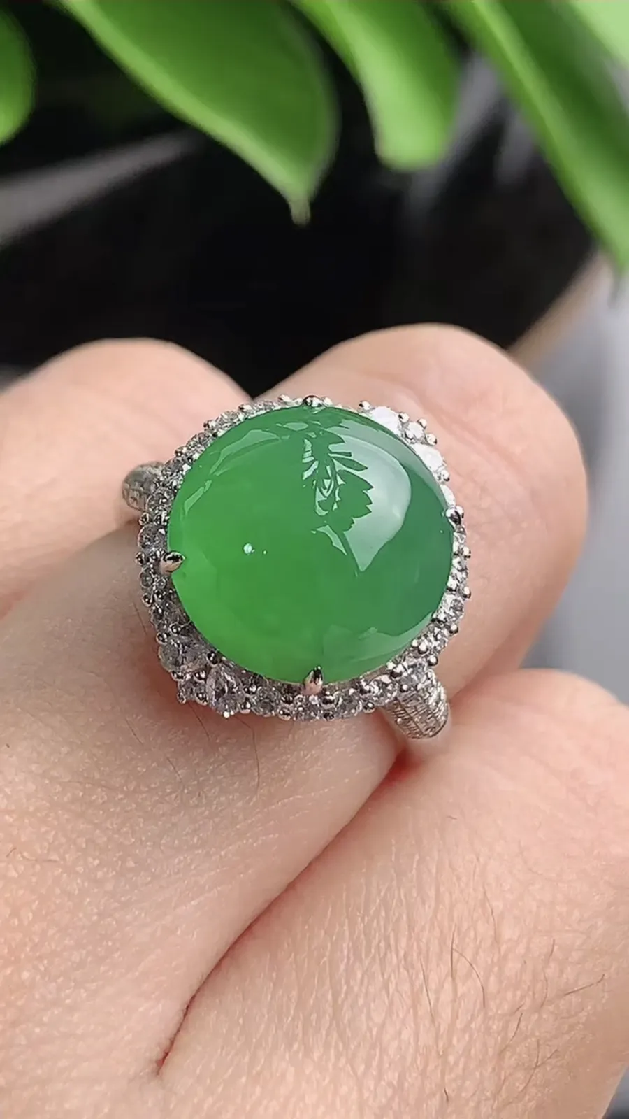 a货翡翠老坑冰种18K金伴钻镶嵌阳绿蛋面戒指 圈口17.3裸石尺寸12×11.7mm 重量5.00g 1203