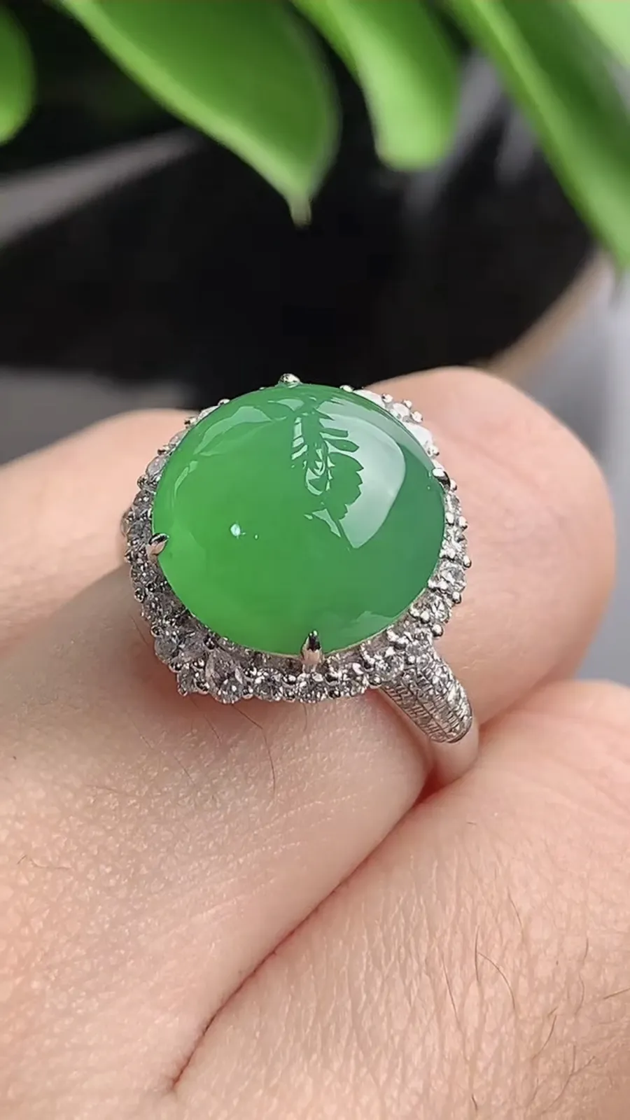 a货翡翠老坑冰种18K金伴钻镶嵌阳绿蛋面戒指 圈口17.3裸石尺寸12×11.7mm 重量5.00g 1203