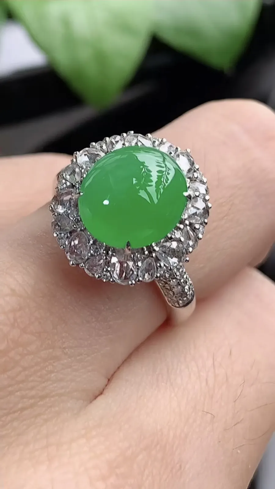 a货翡翠老坑冰种18K金伴钻镶嵌阳绿蛋面戒指 圈口17.3裸石尺寸10.2×9mm 重量5.05g 