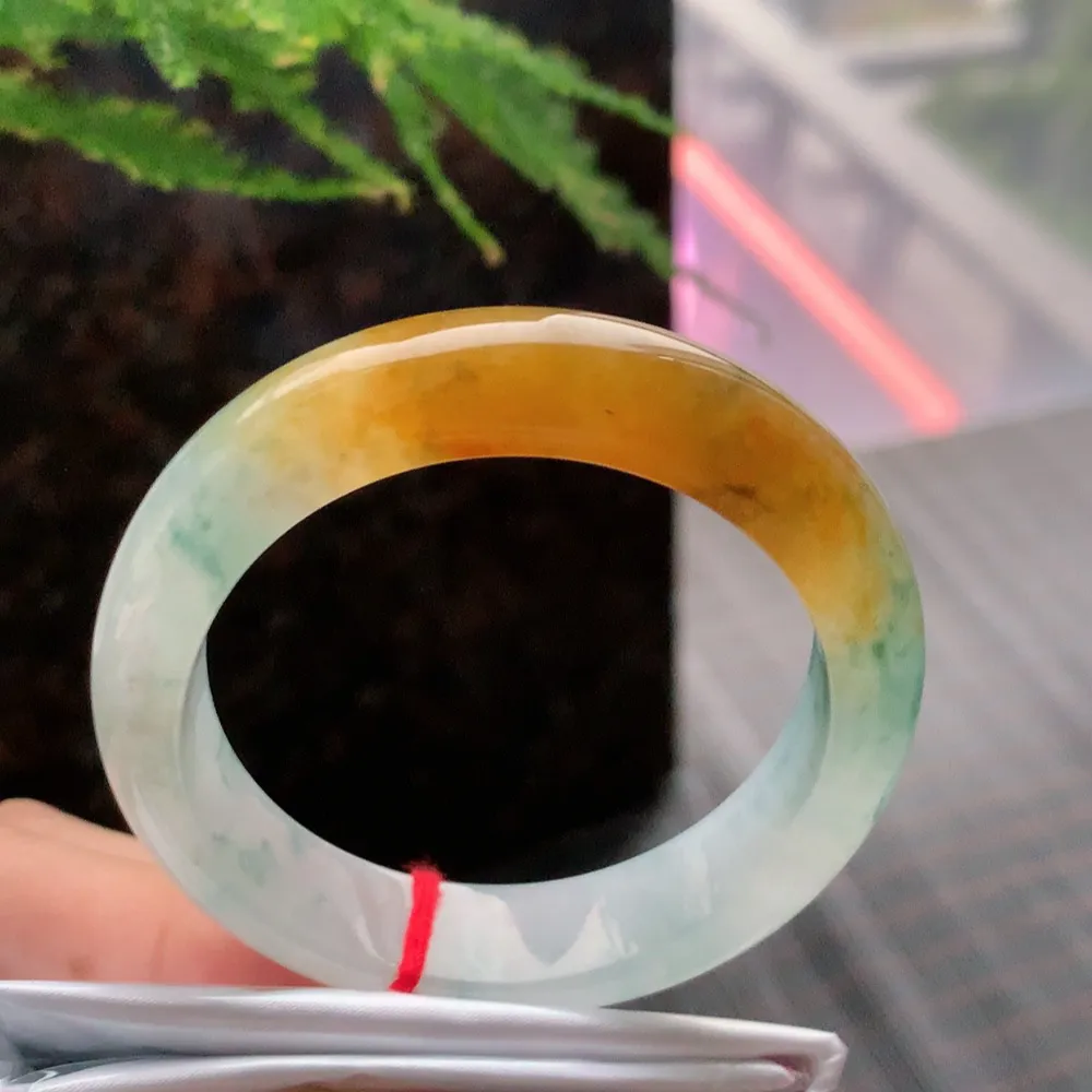 贵妃高冰黄加绿 无瑕 尺寸:54.1/47.4 种色兼备